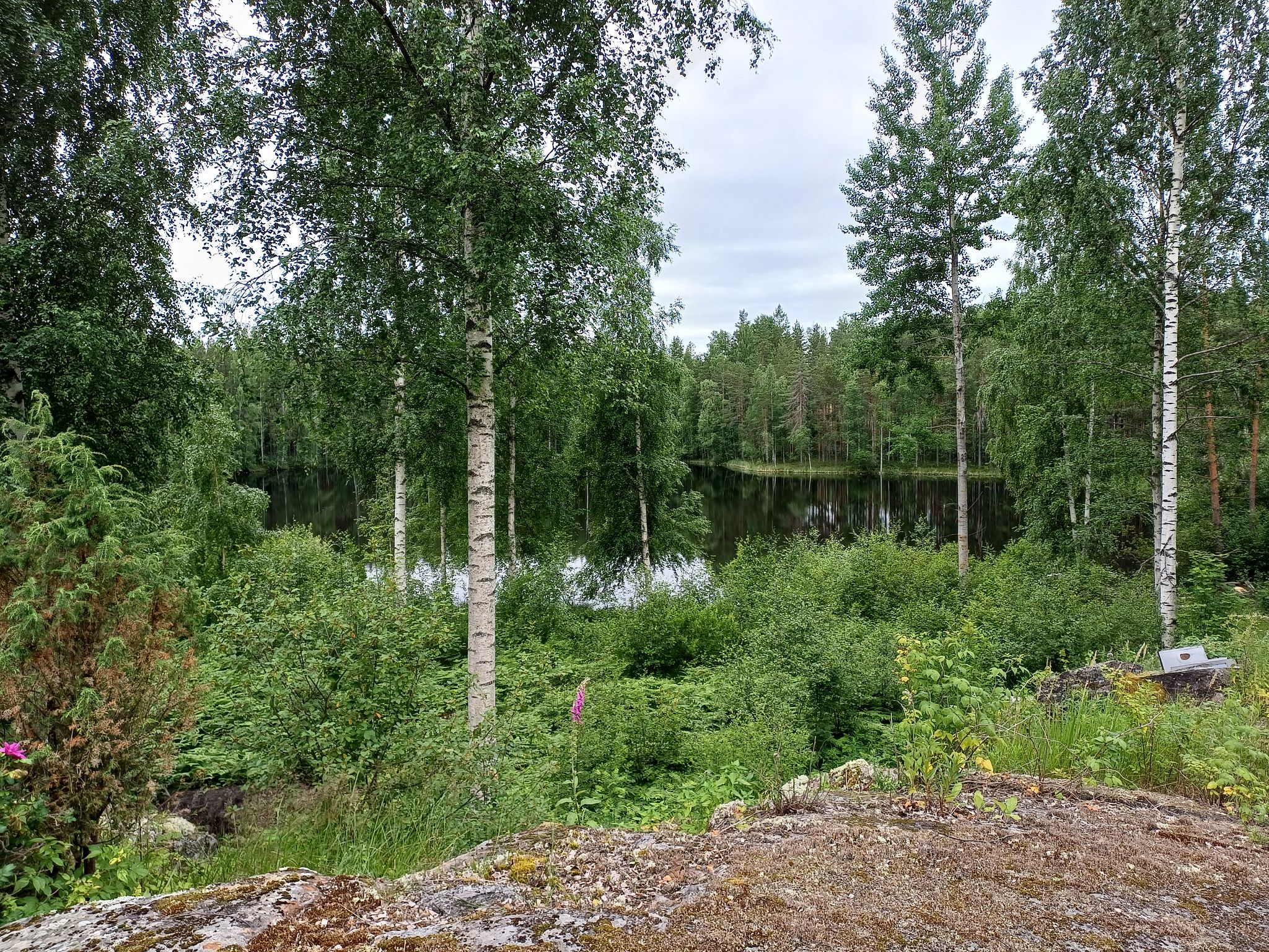 Kuva 32/61