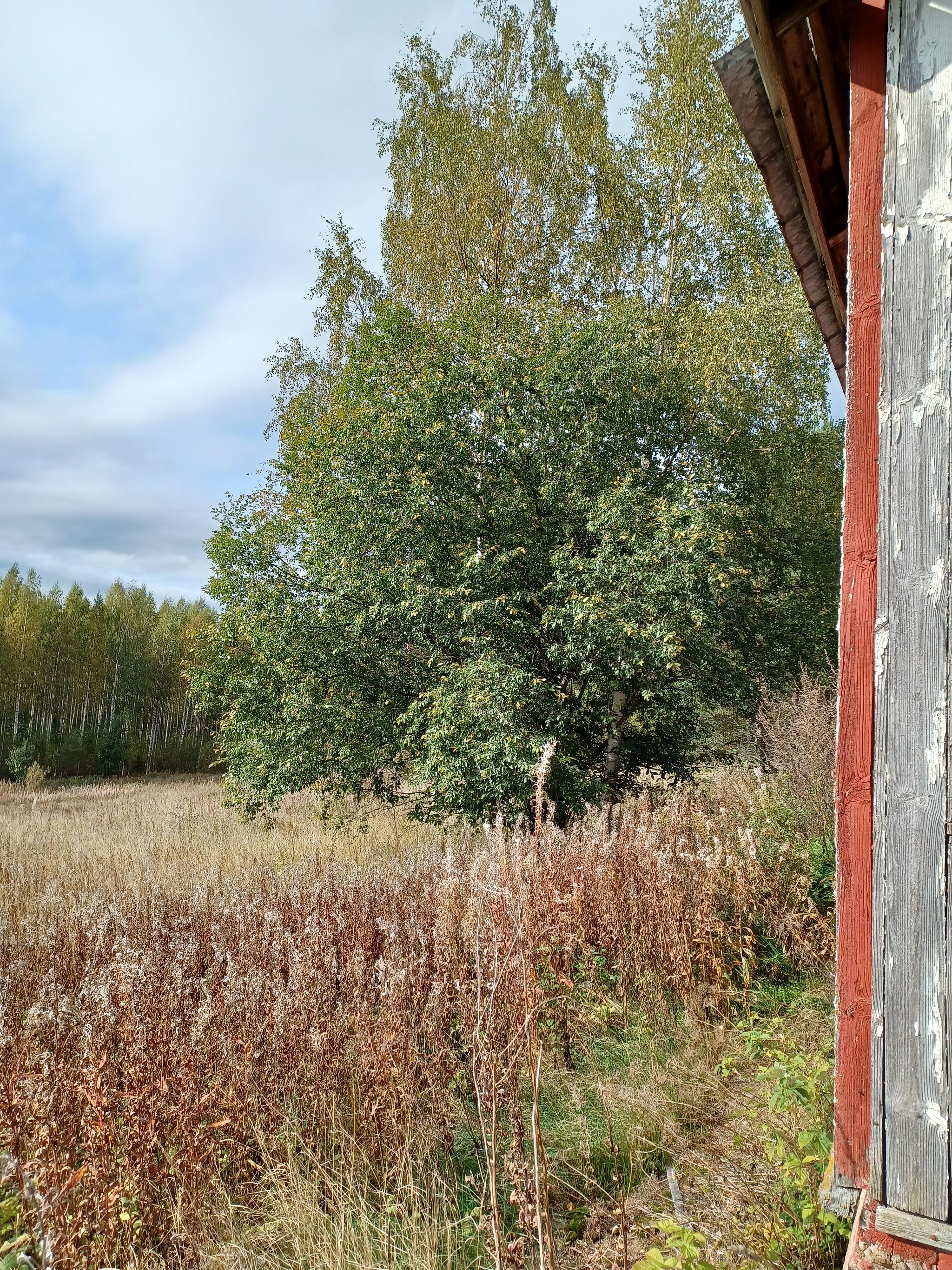 Image 21/24