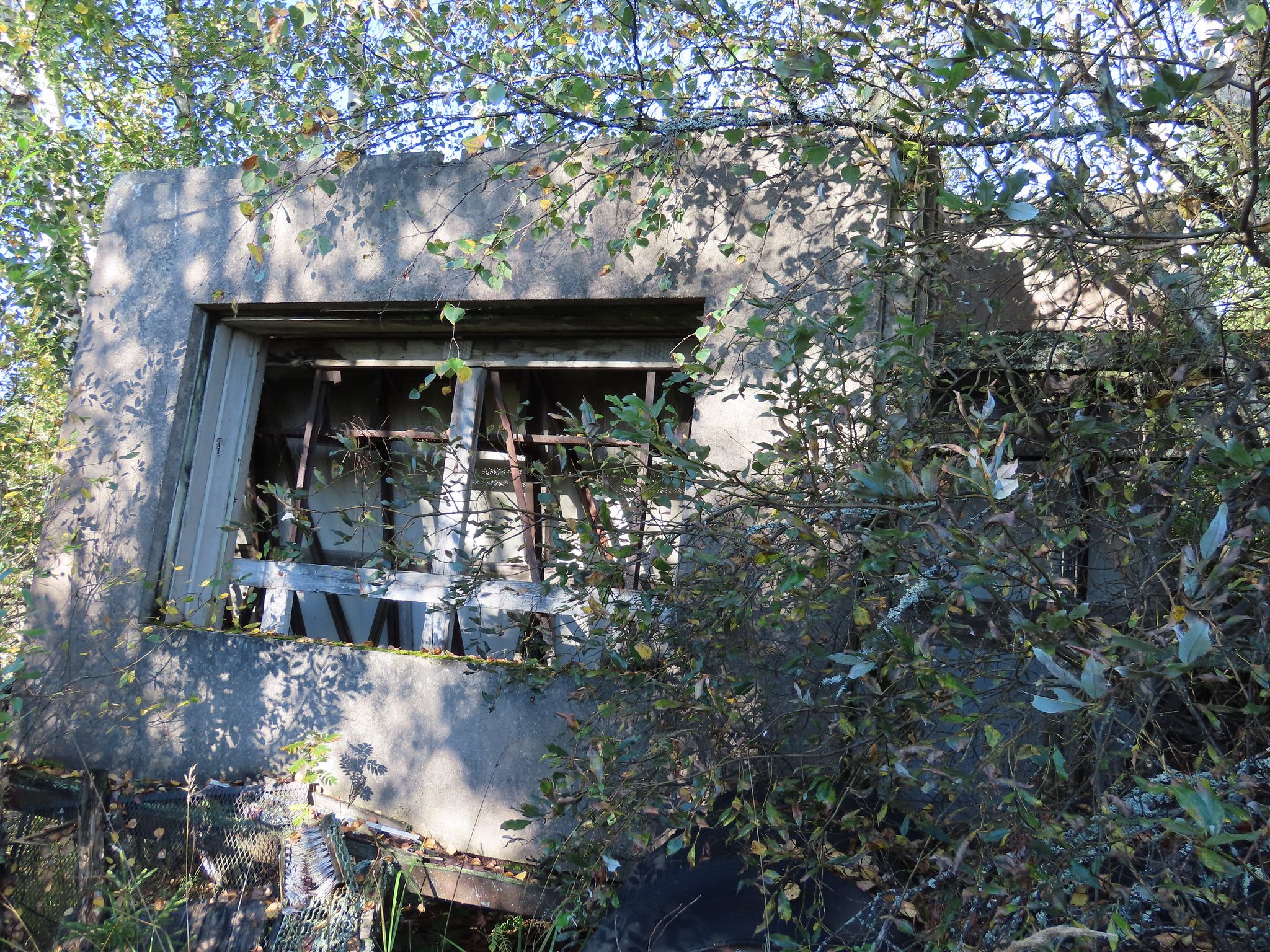 Image 10/11