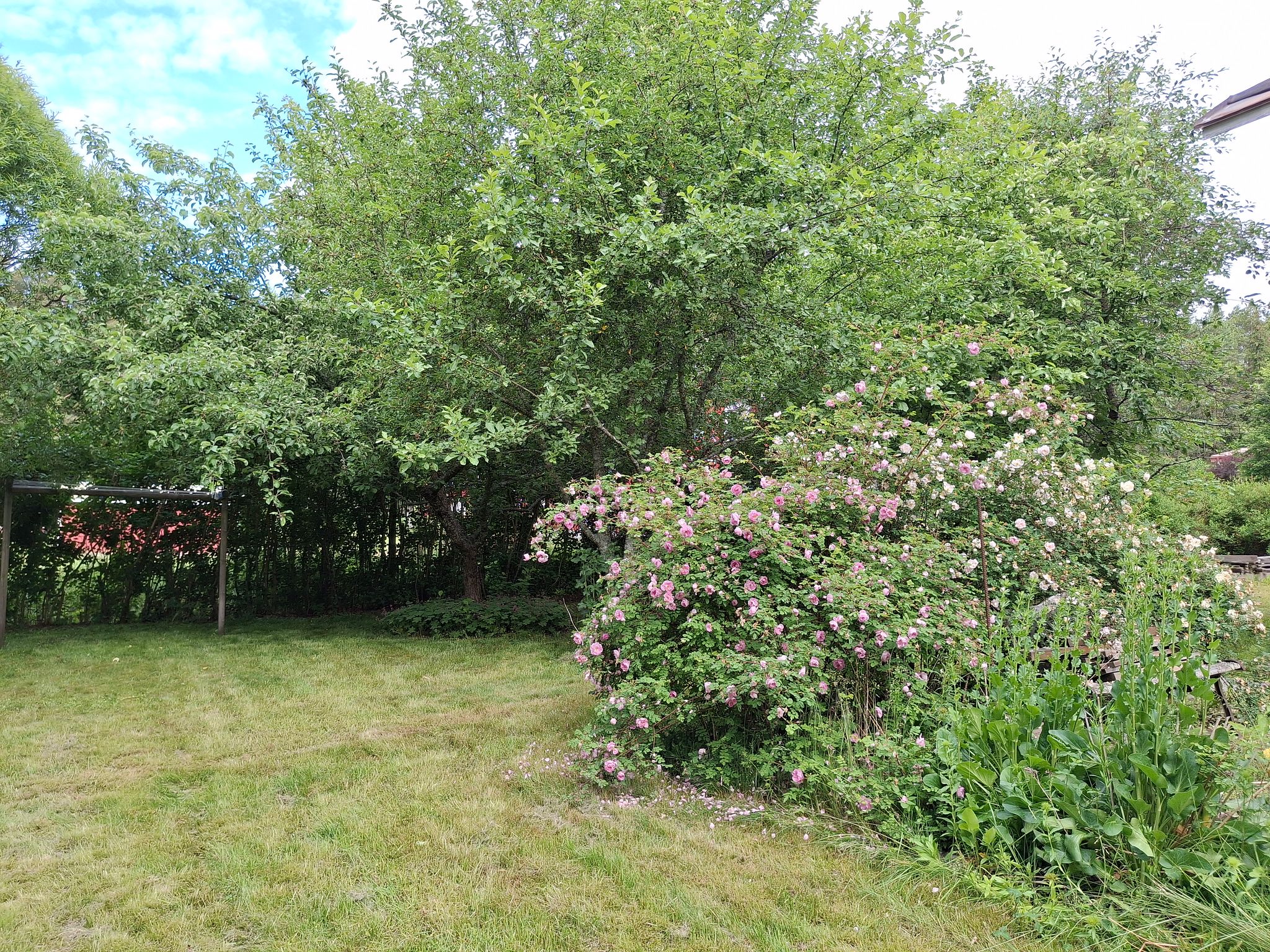 Image 9/60