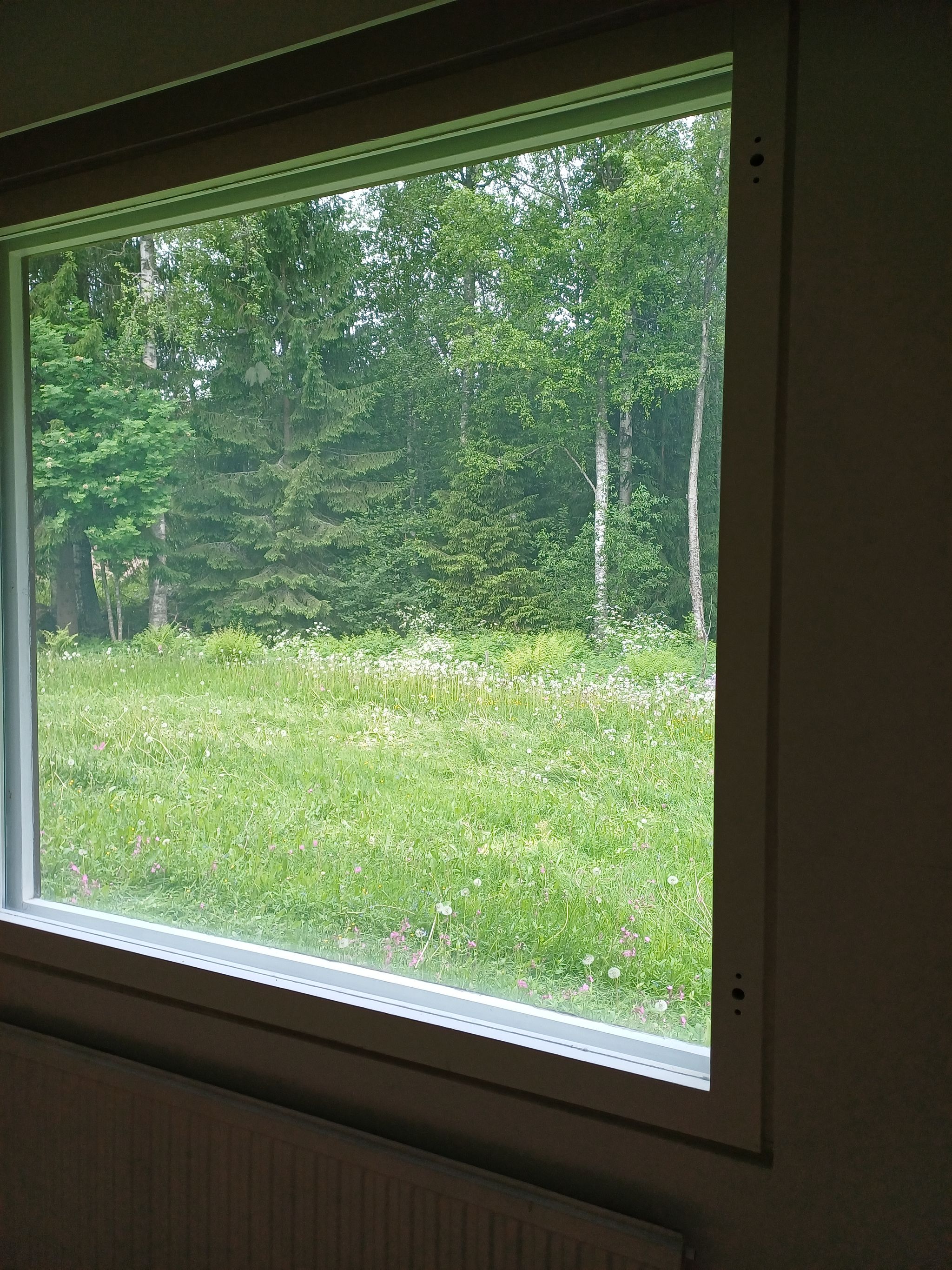 Image 11/56