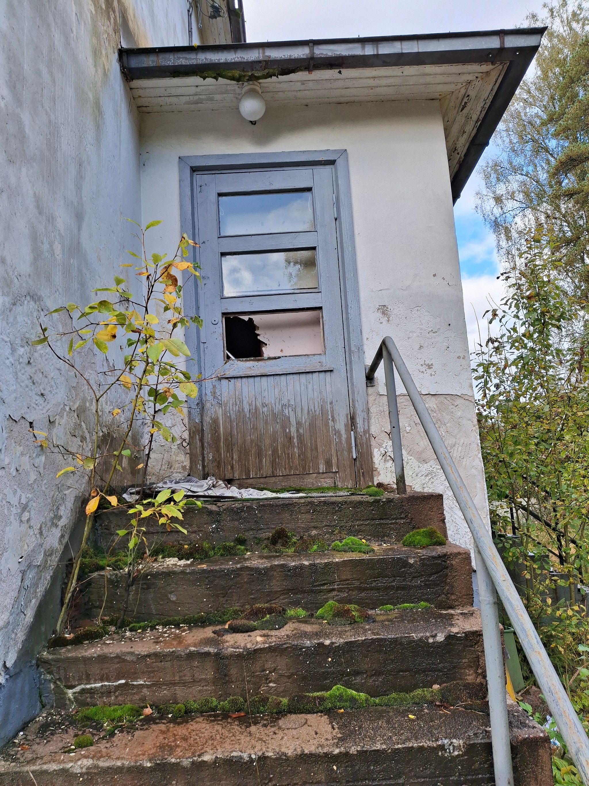 Image 10/49