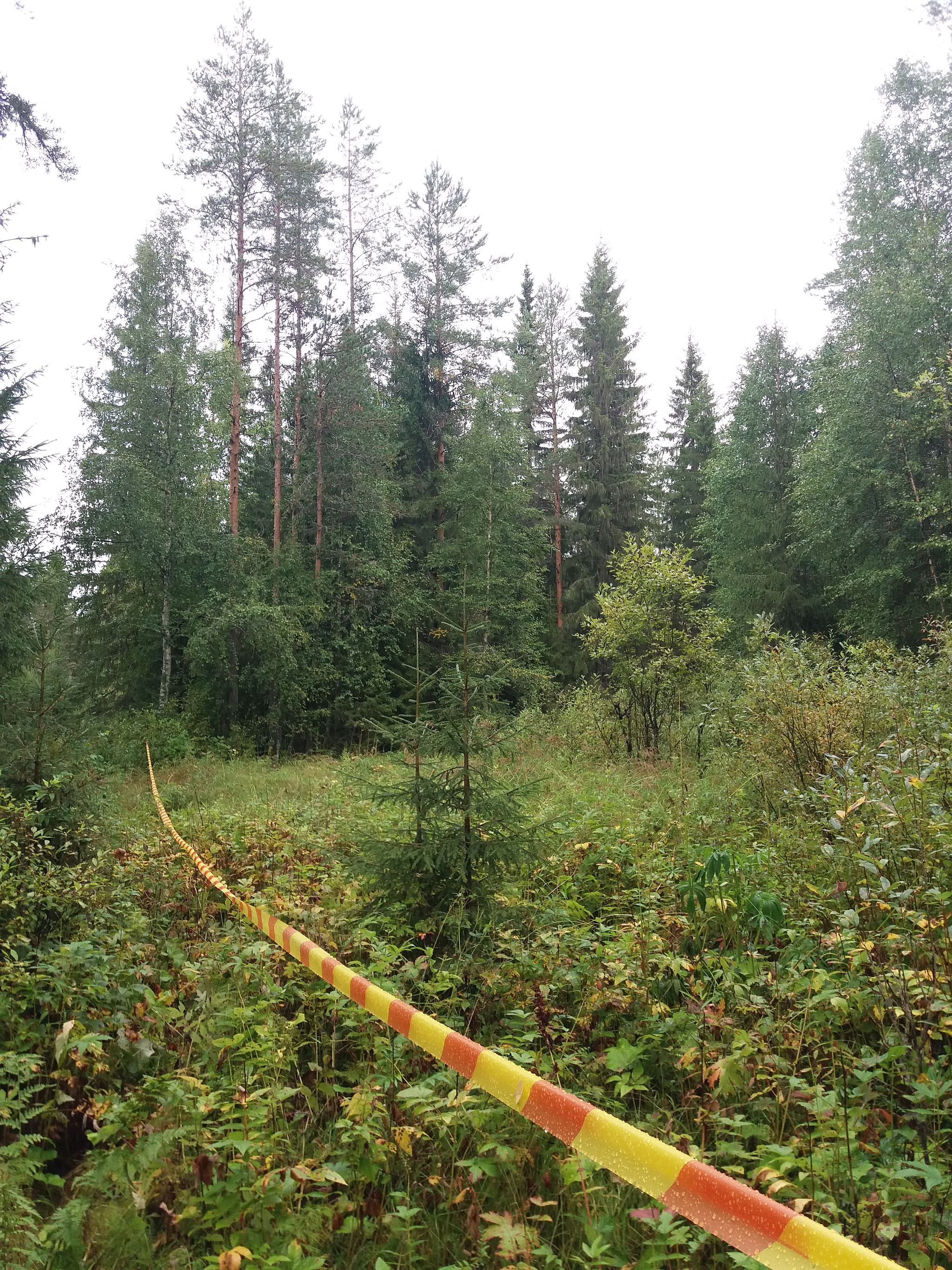 Image 6/21