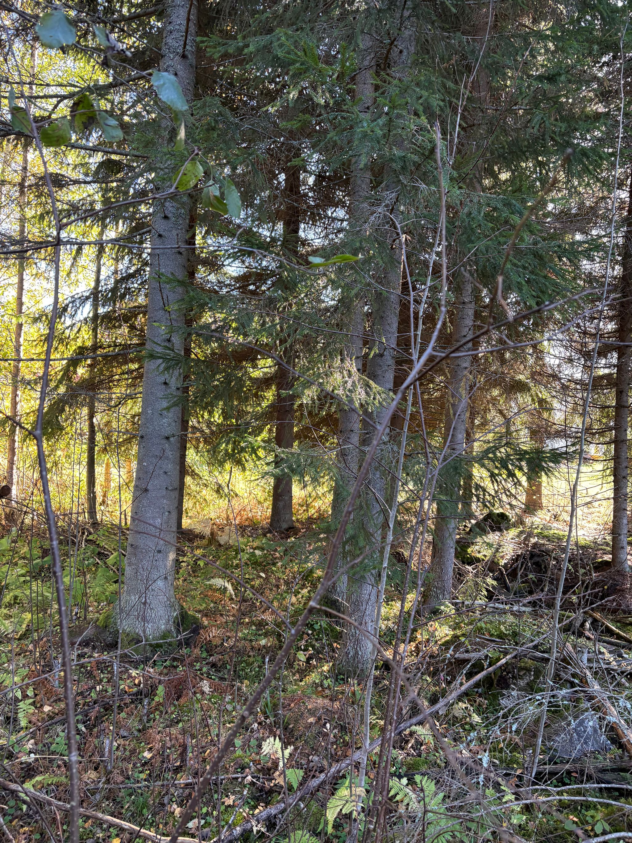 Image 16/30