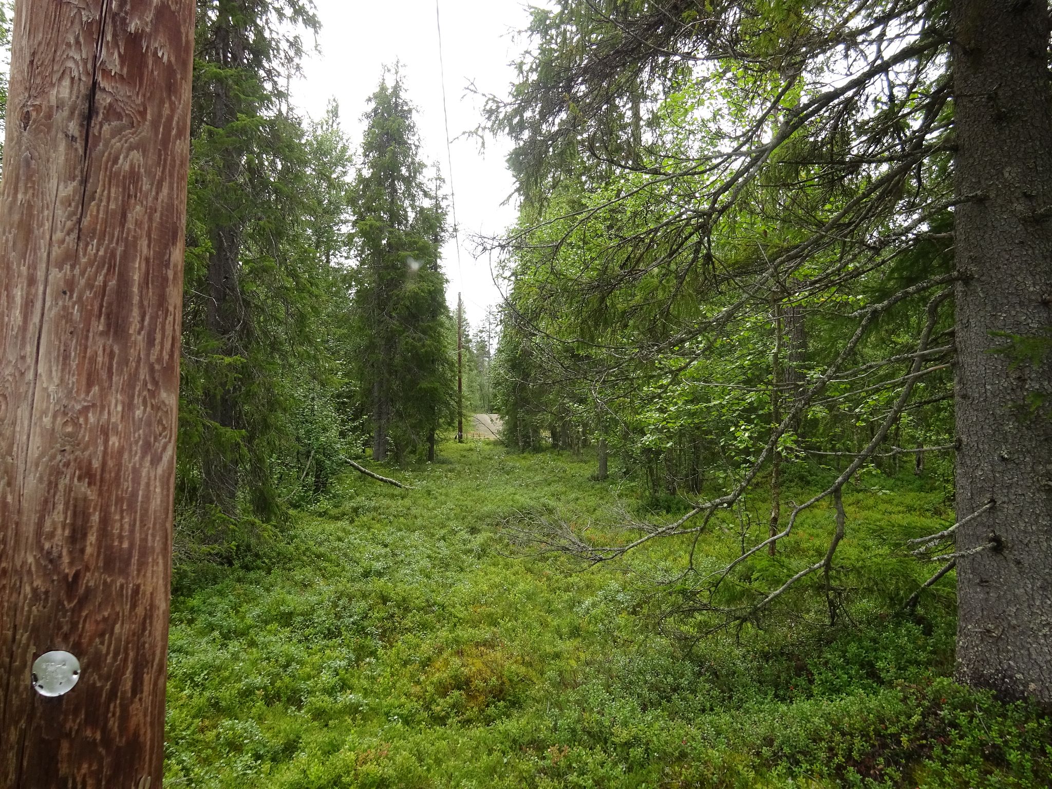 Image 9/11