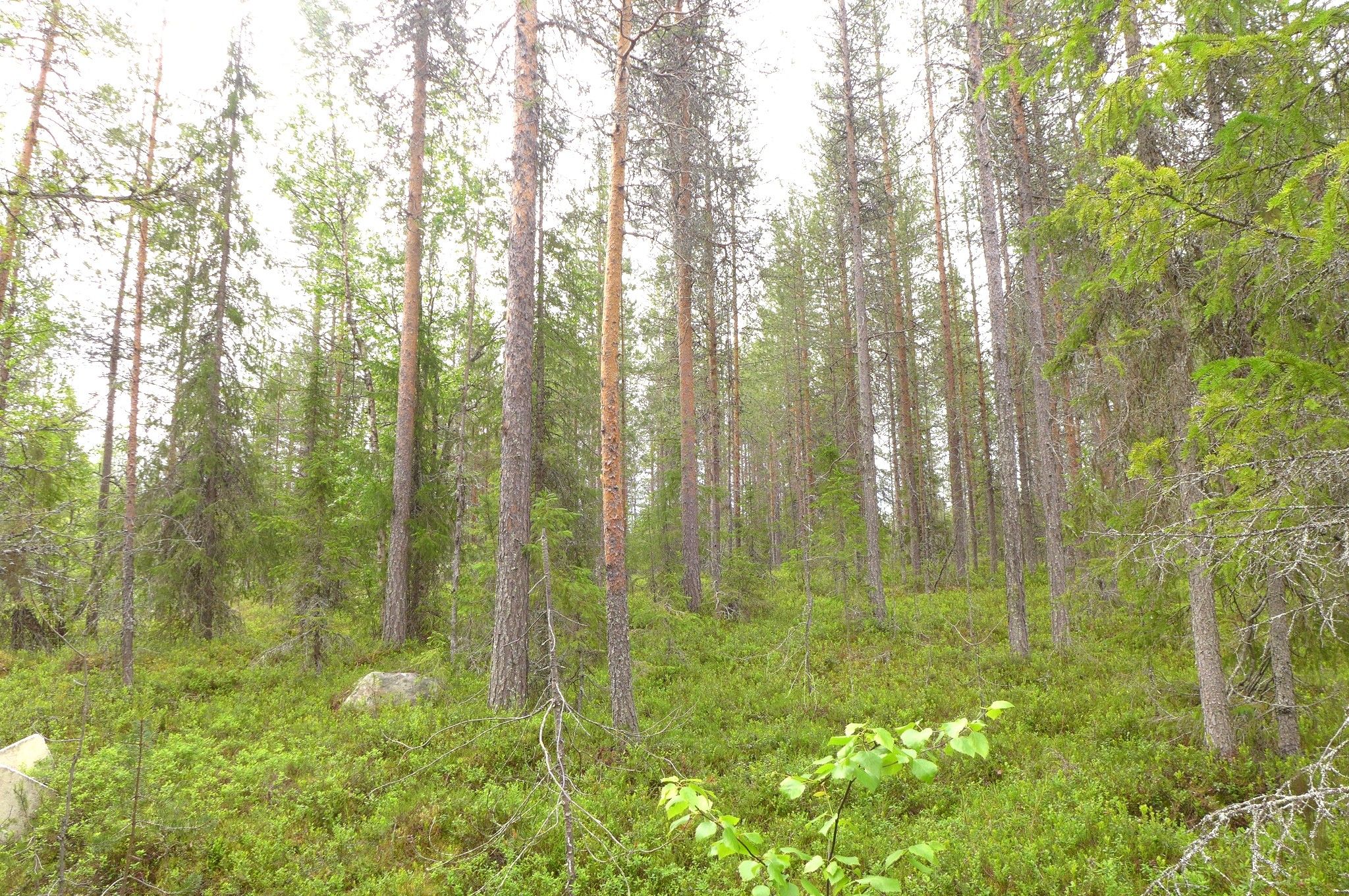Image 49/51