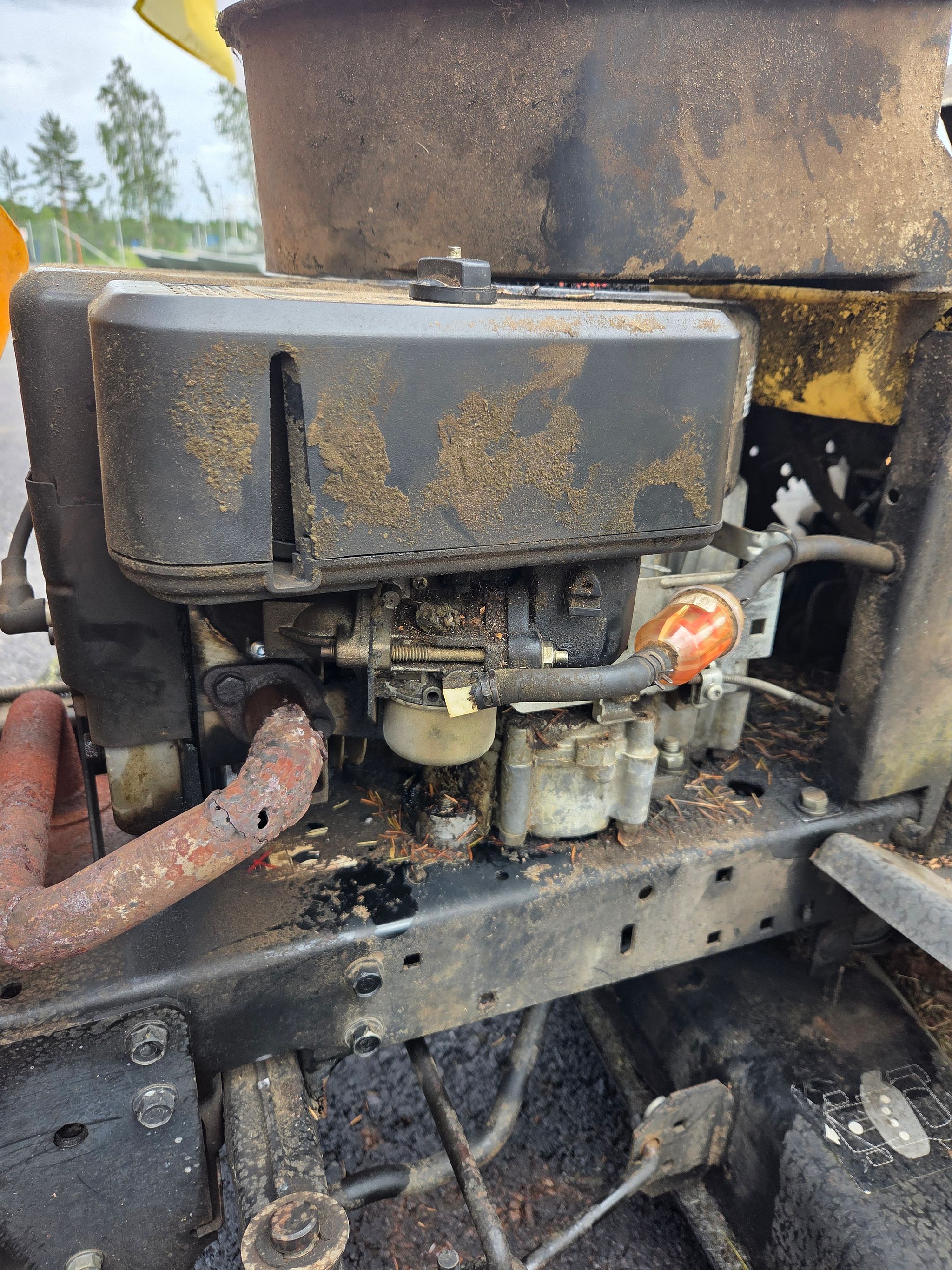 Image 6/6