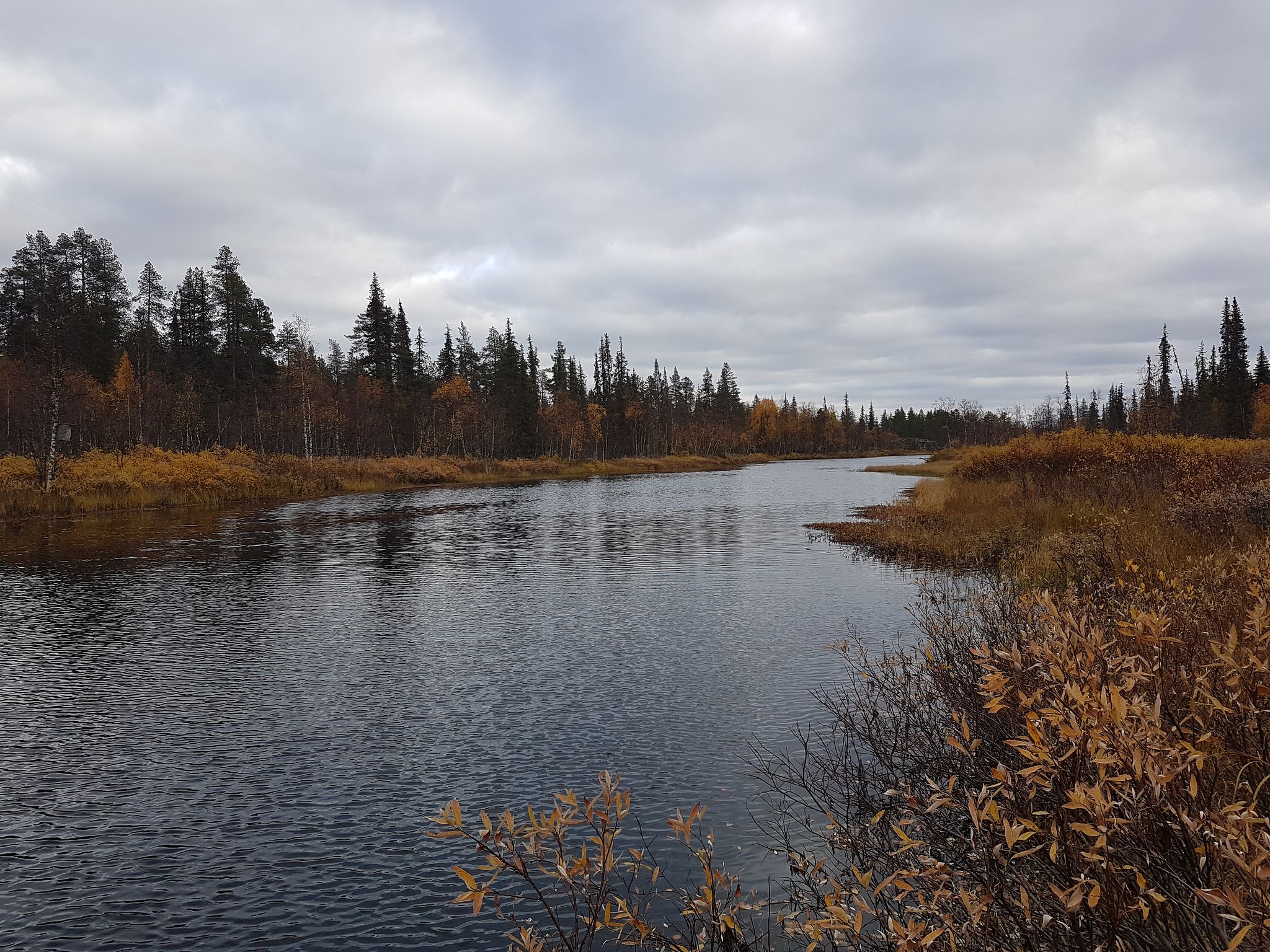 Image 1/13