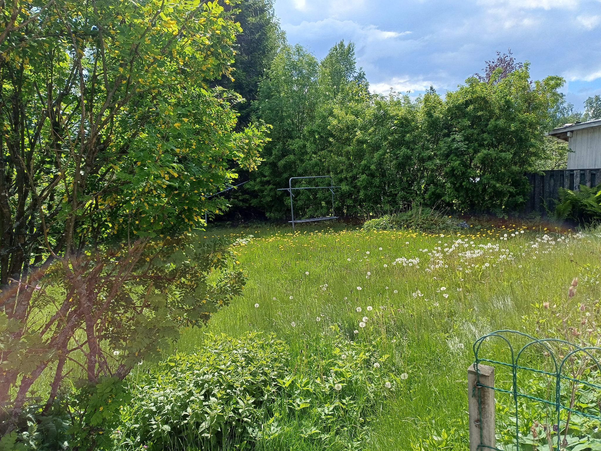 Image 6/53