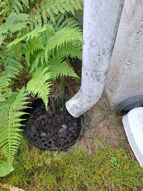 Image 109/142