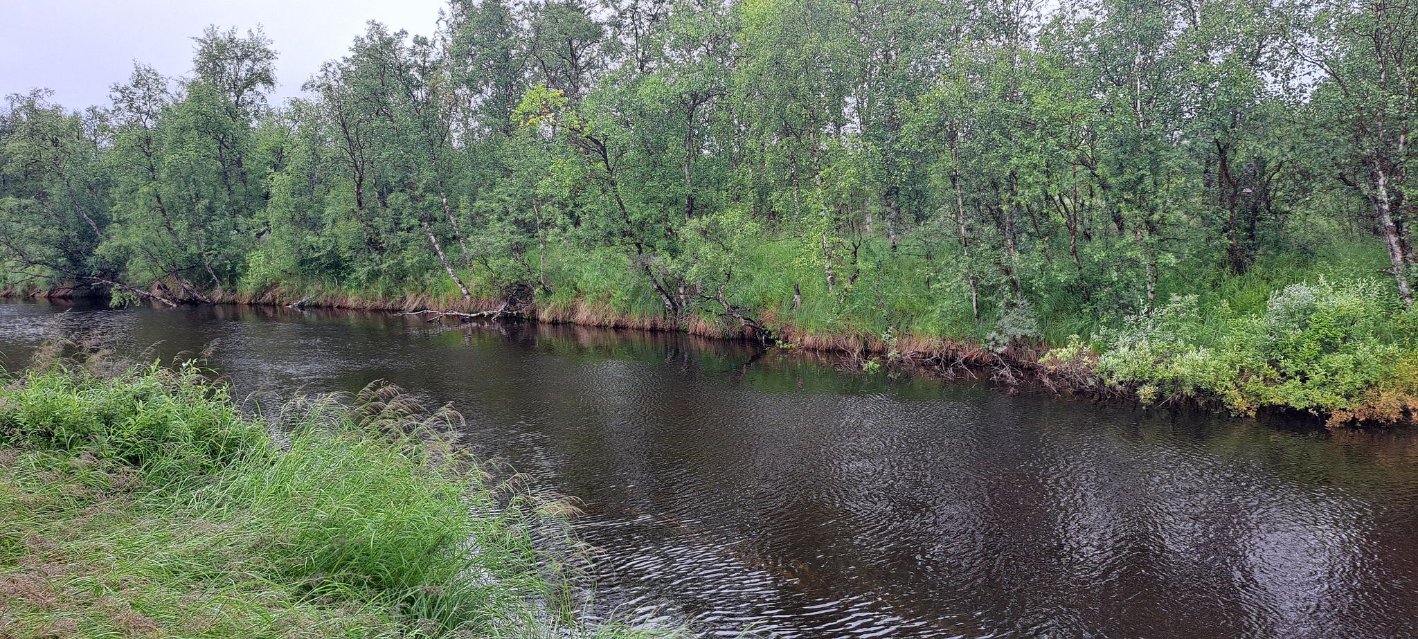 Image 16/18