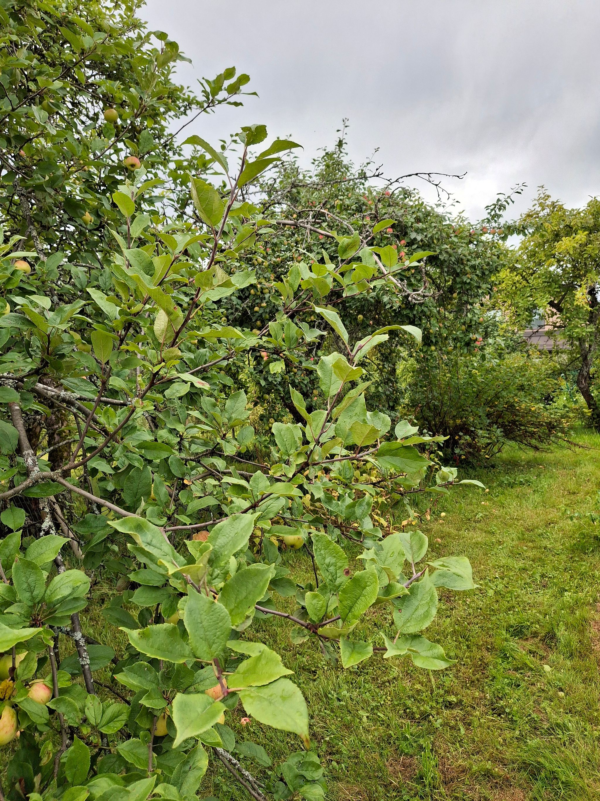Image 40/70