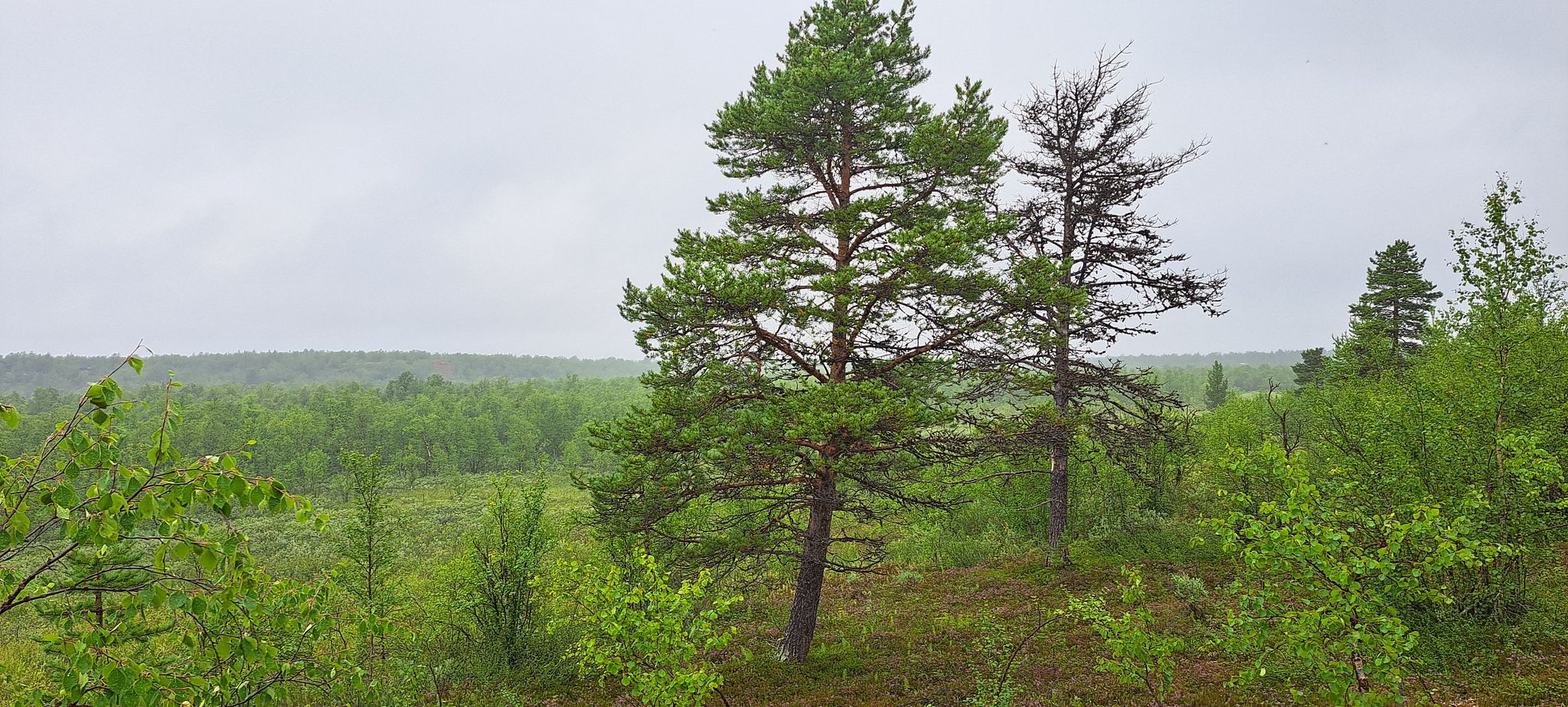 Image 1/18