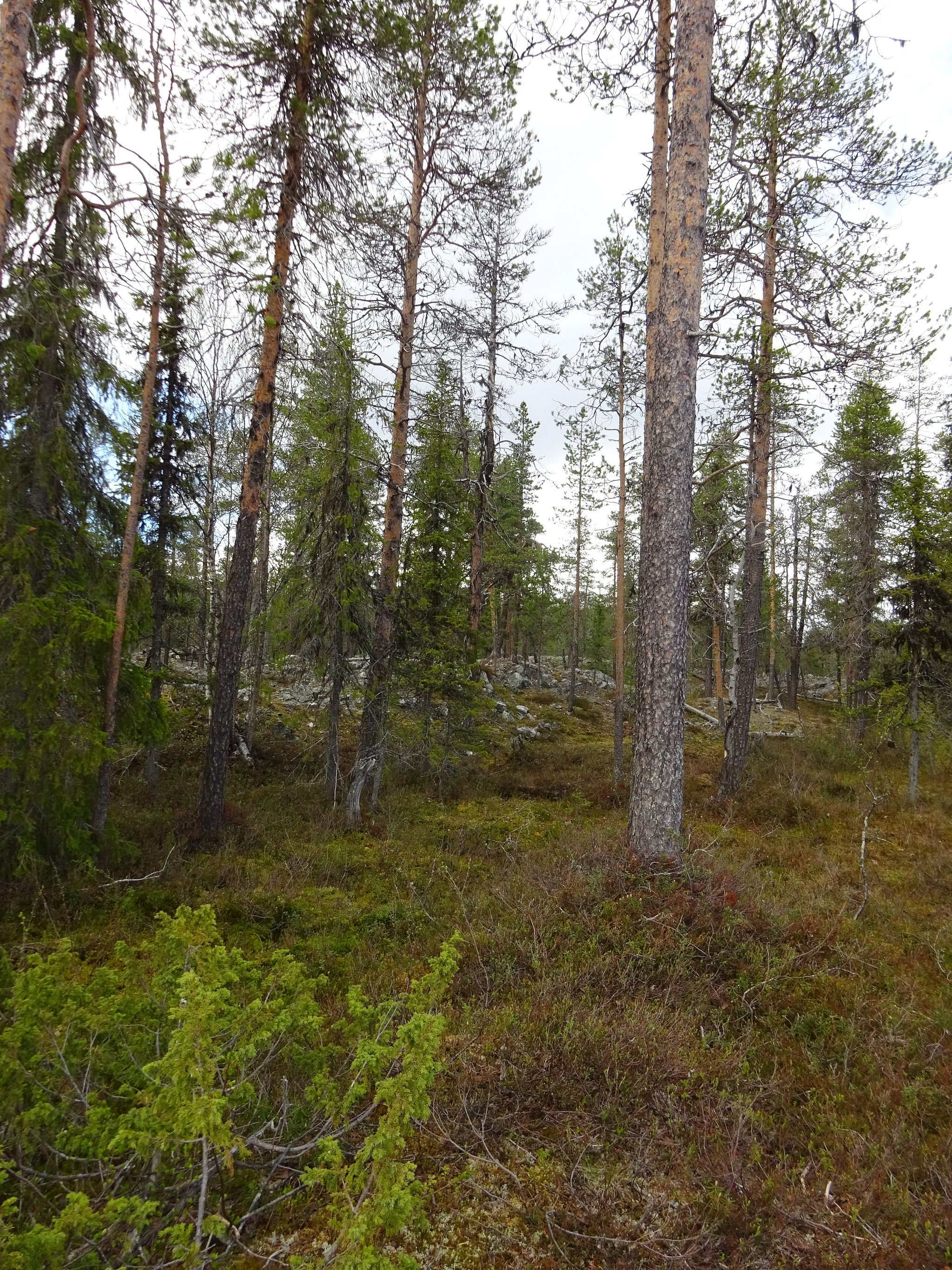 Image 11/17