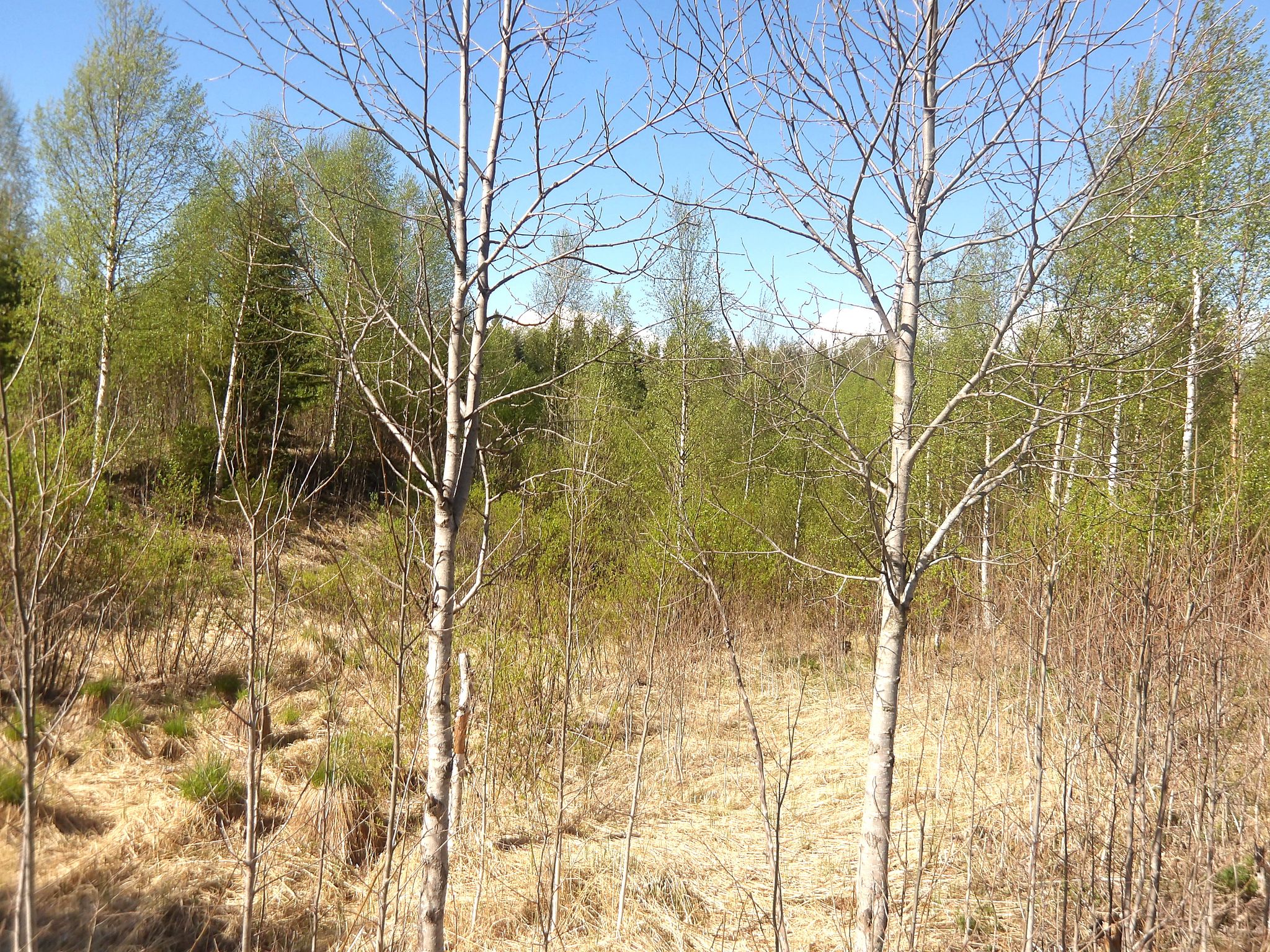 Image 3/5