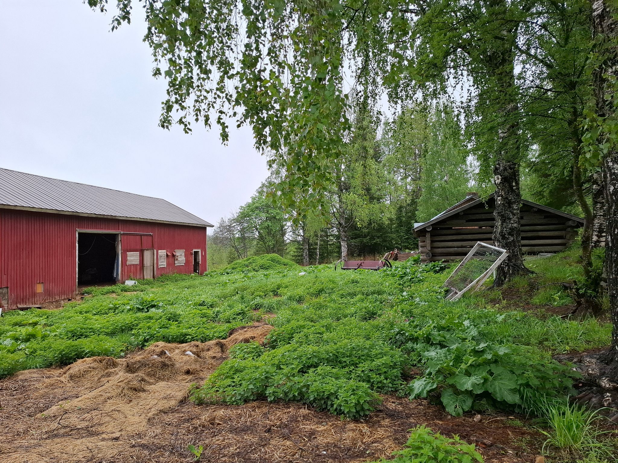 Image 13/40