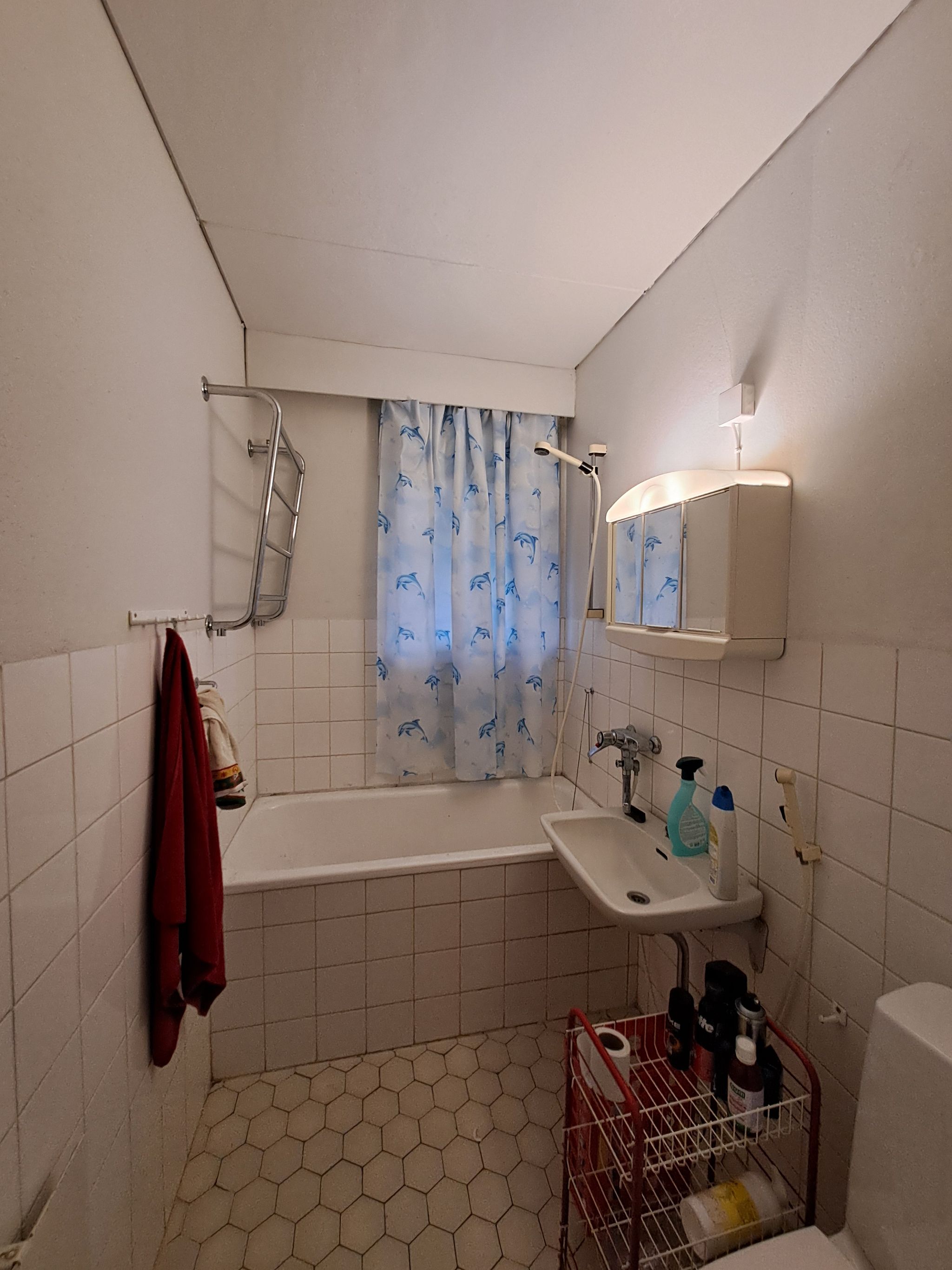 Image 25/66