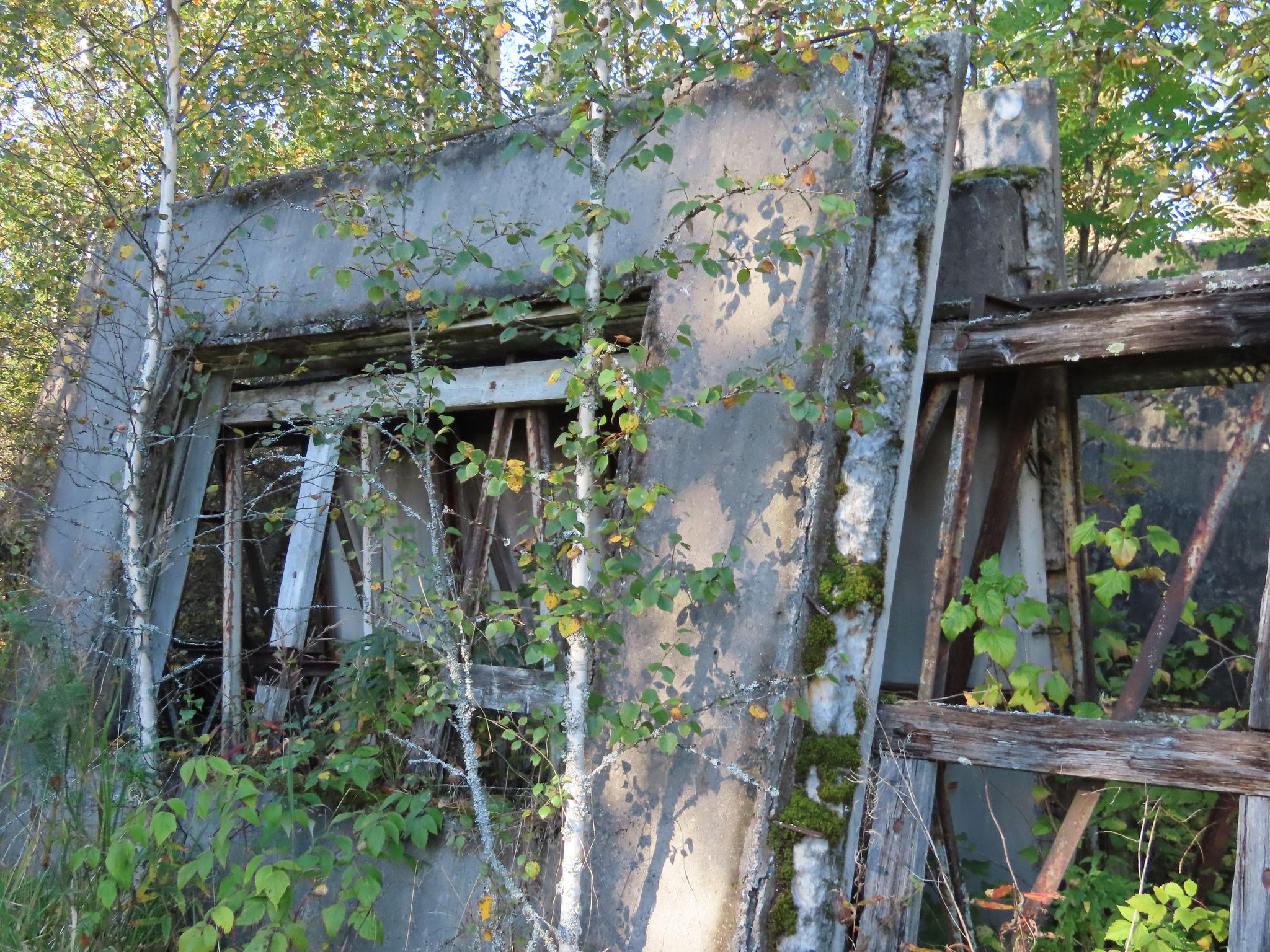 Image 5/11