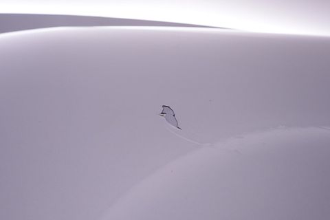 Image 9/29
