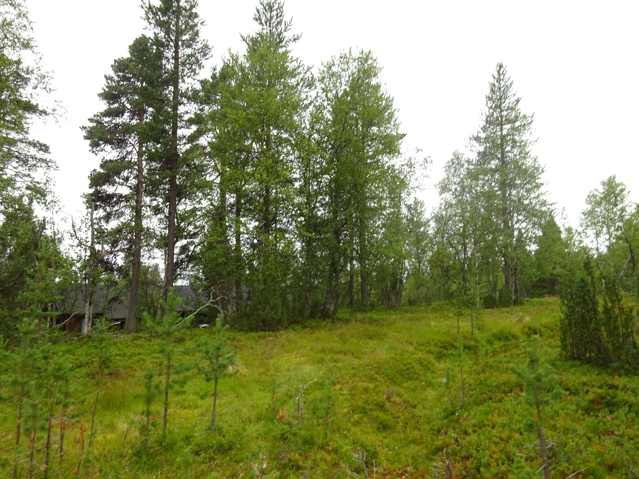Image 8/9