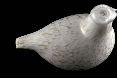 Image 12/17