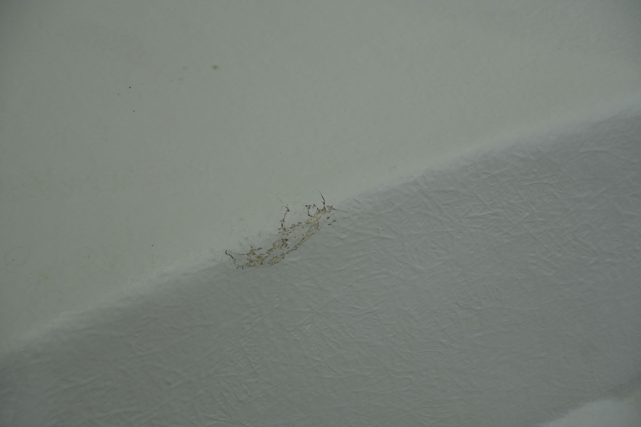 Image 6/10