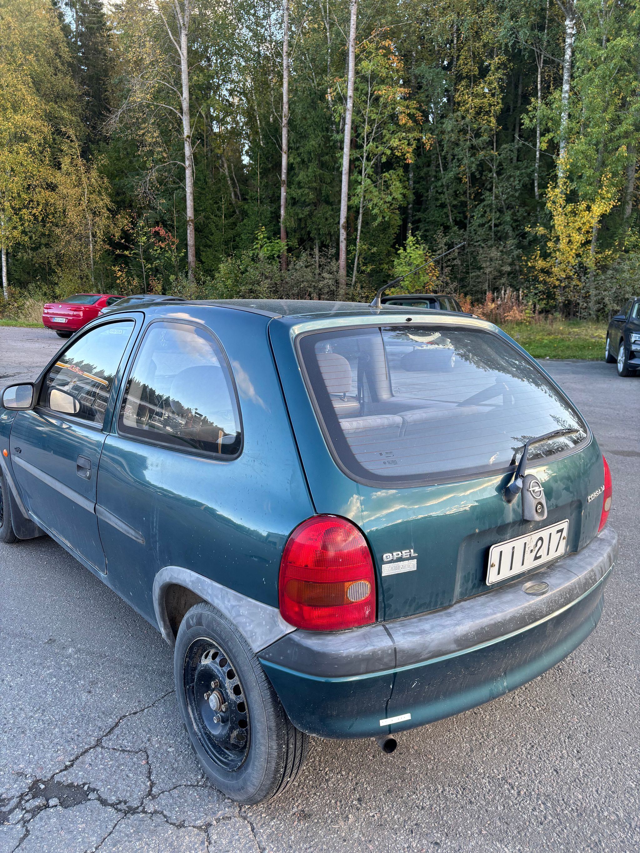 Image 7/14