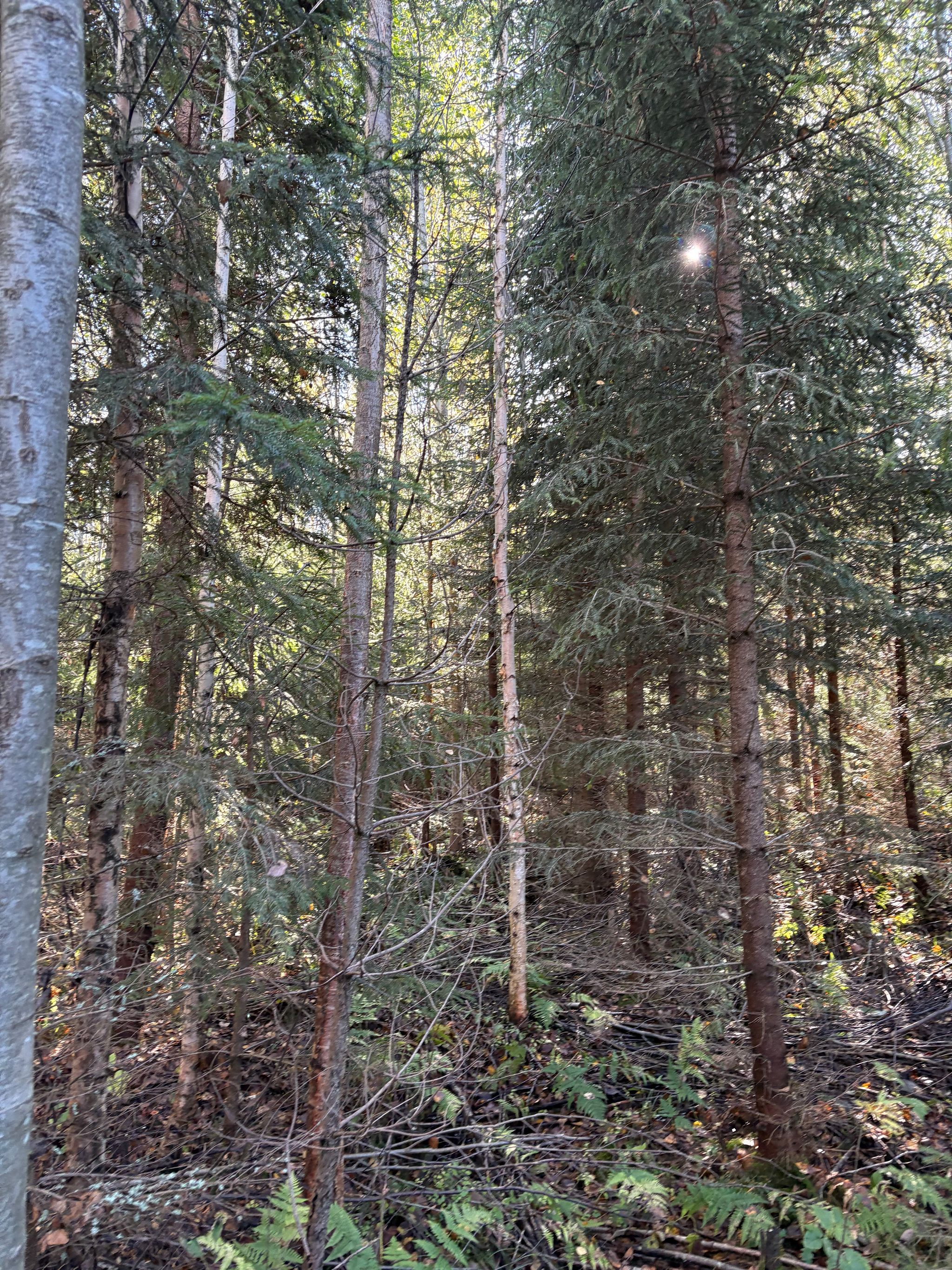 Image 18/30