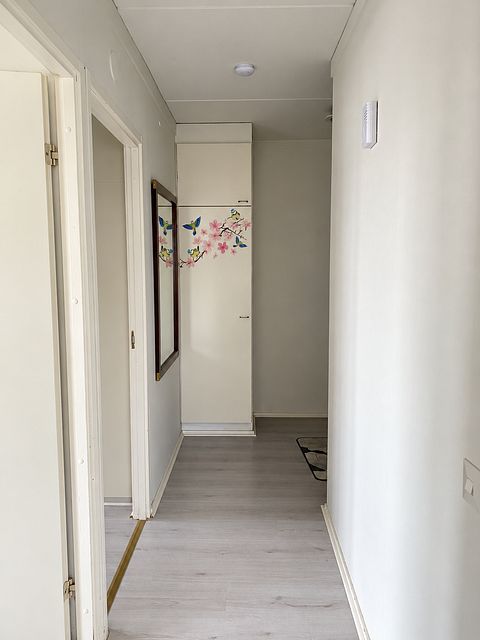 Image 2/16
