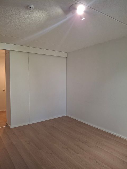 Image 5/19