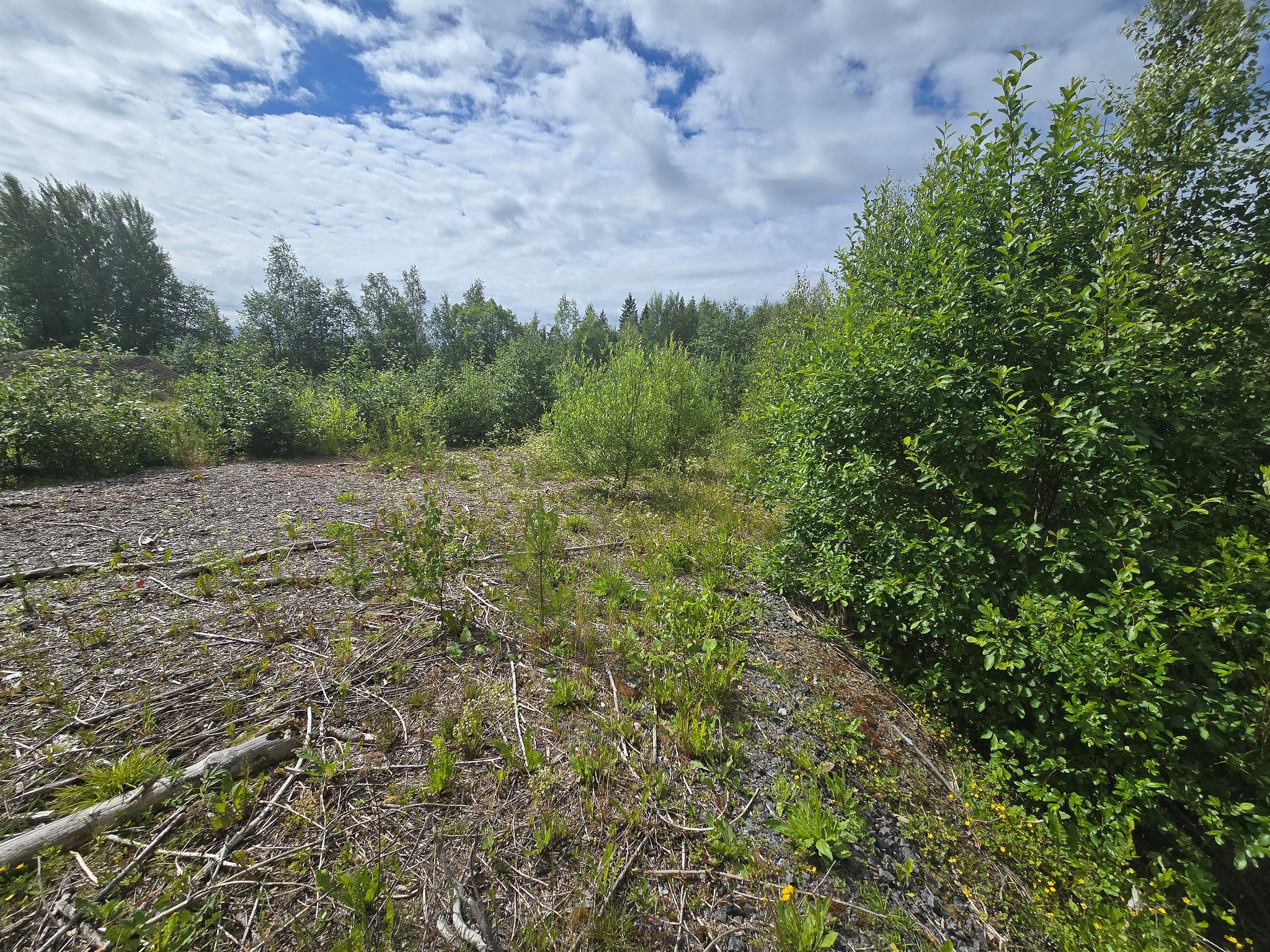Image 7/20