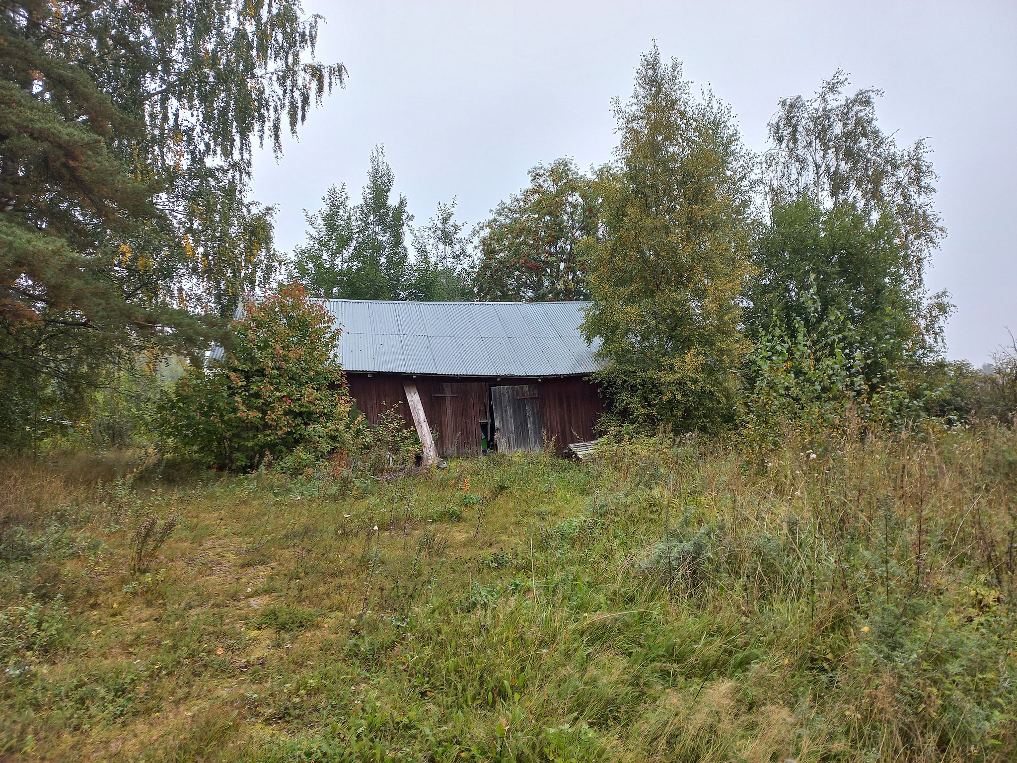 Image 51/57