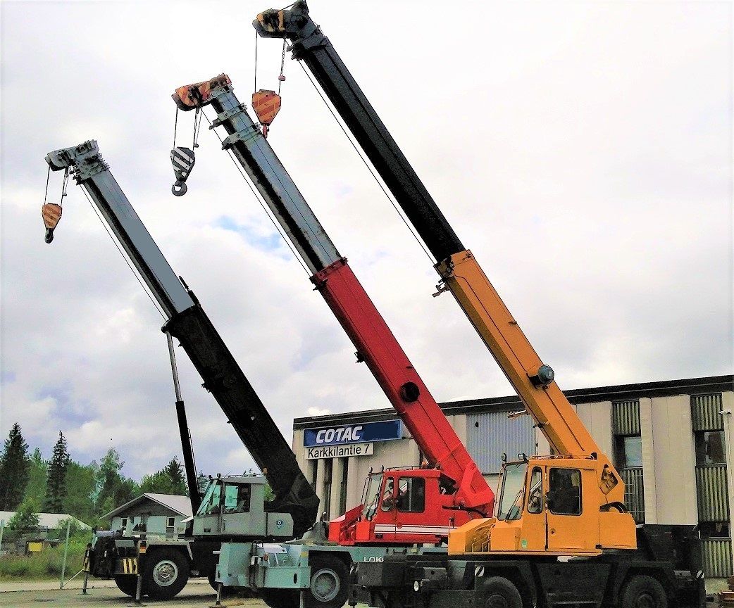 Cranes On The Arctic Circle Oy kuva