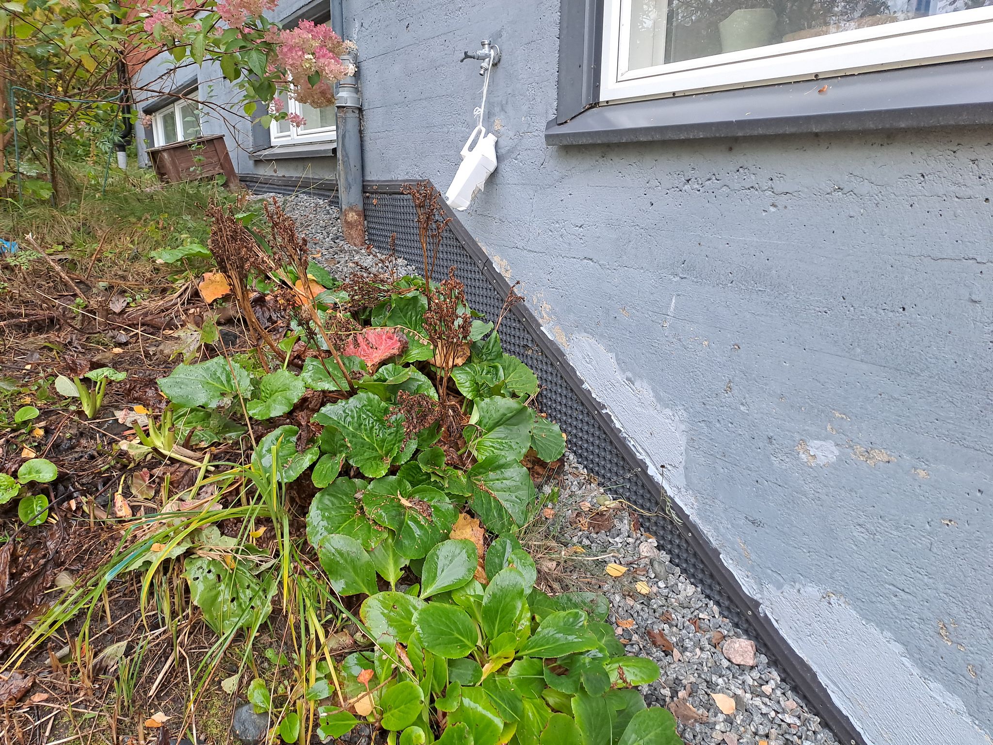 Image 7/66