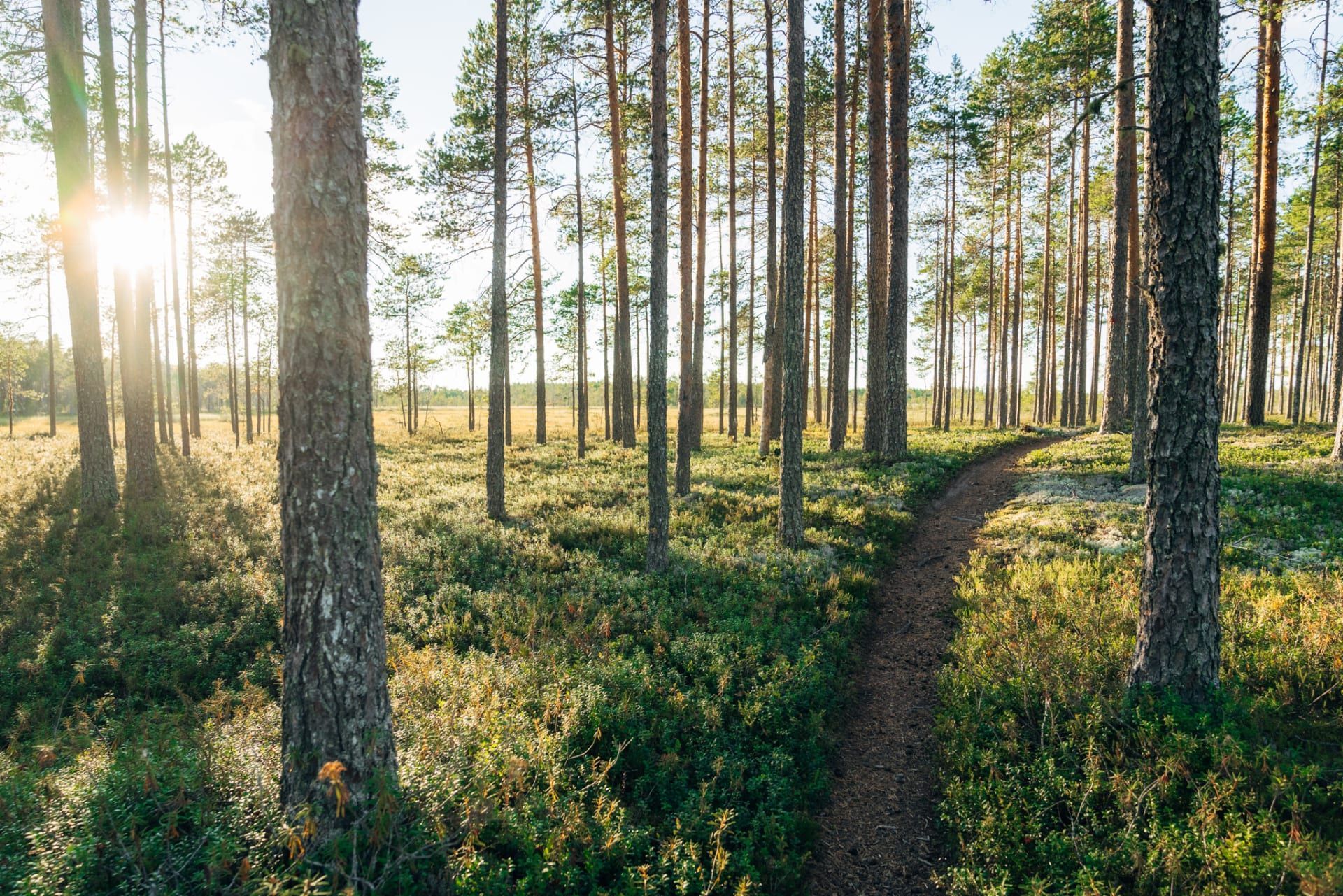 Kempeleen kunta kuva