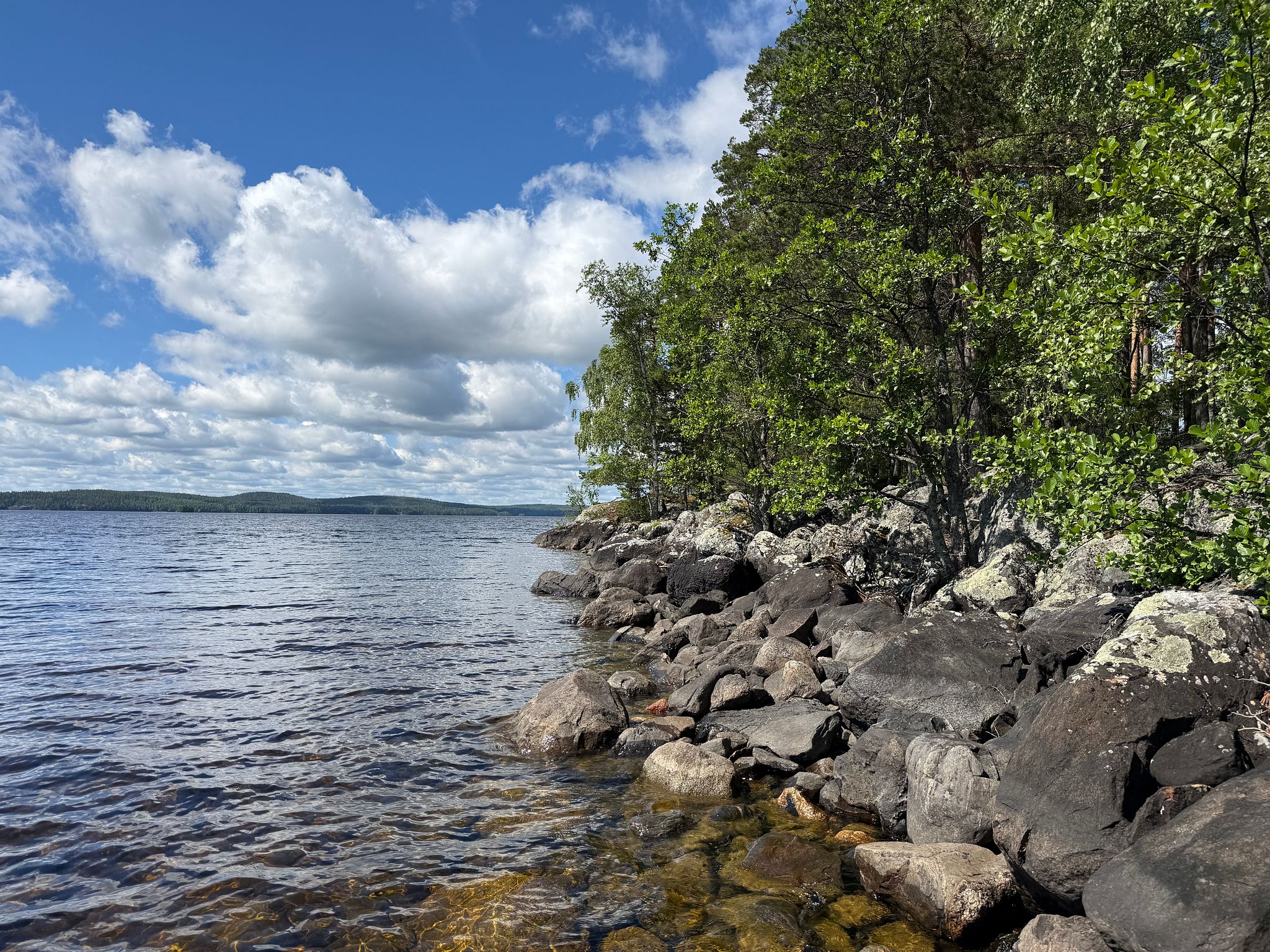 Image 7/31
