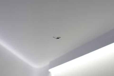 Image 28/49