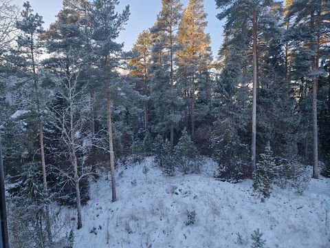 Image 2/11