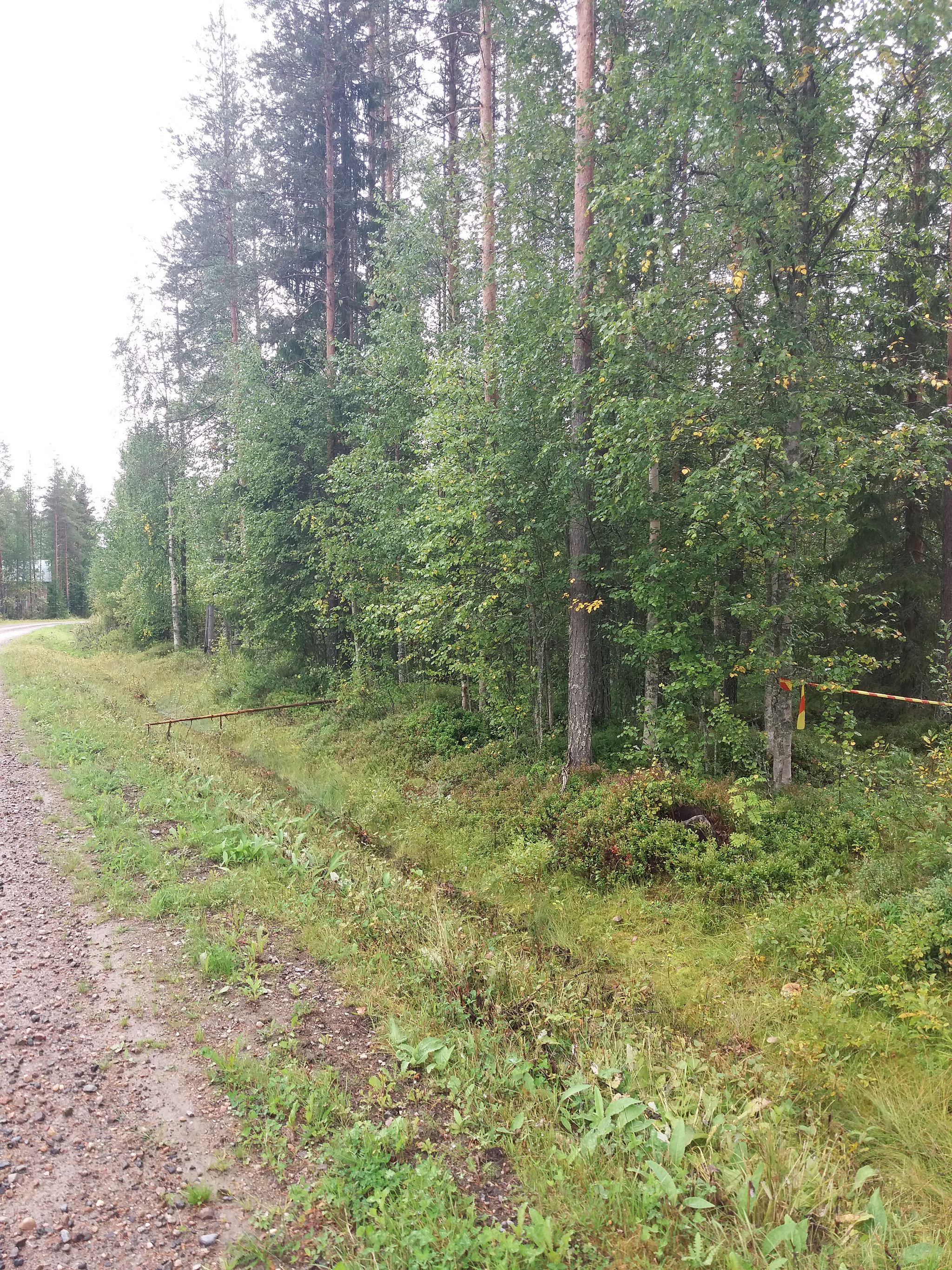 Image 13/21