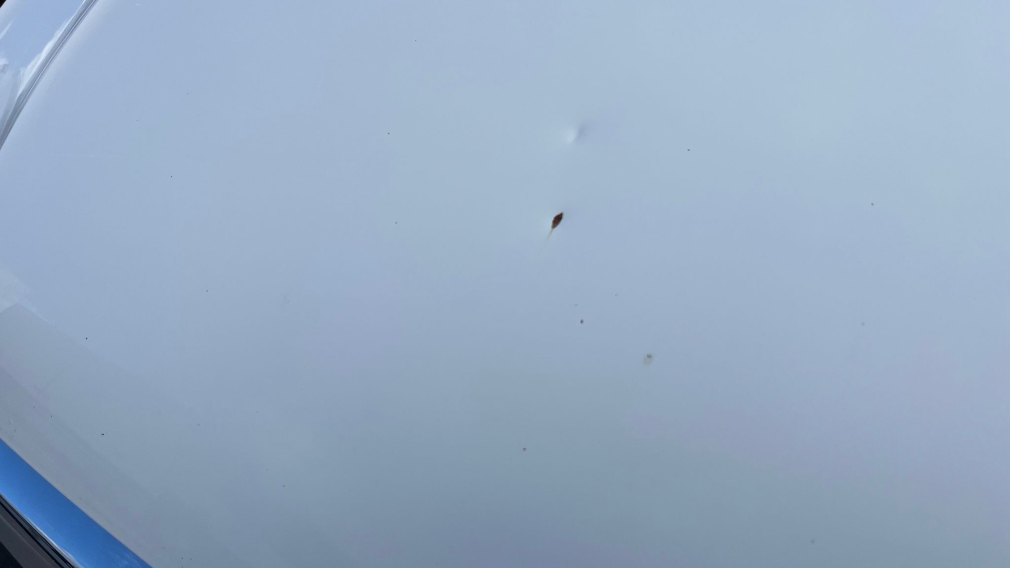 Image 22/33