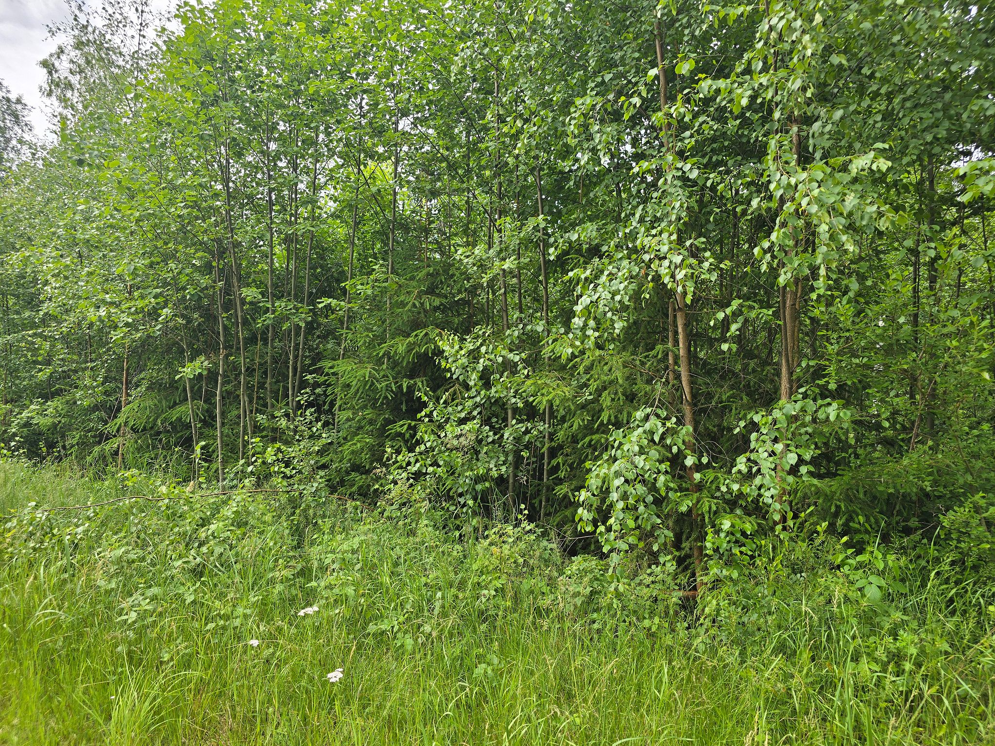 Image 12/20