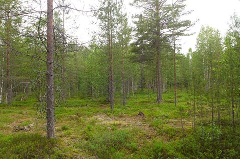 Image 5/21