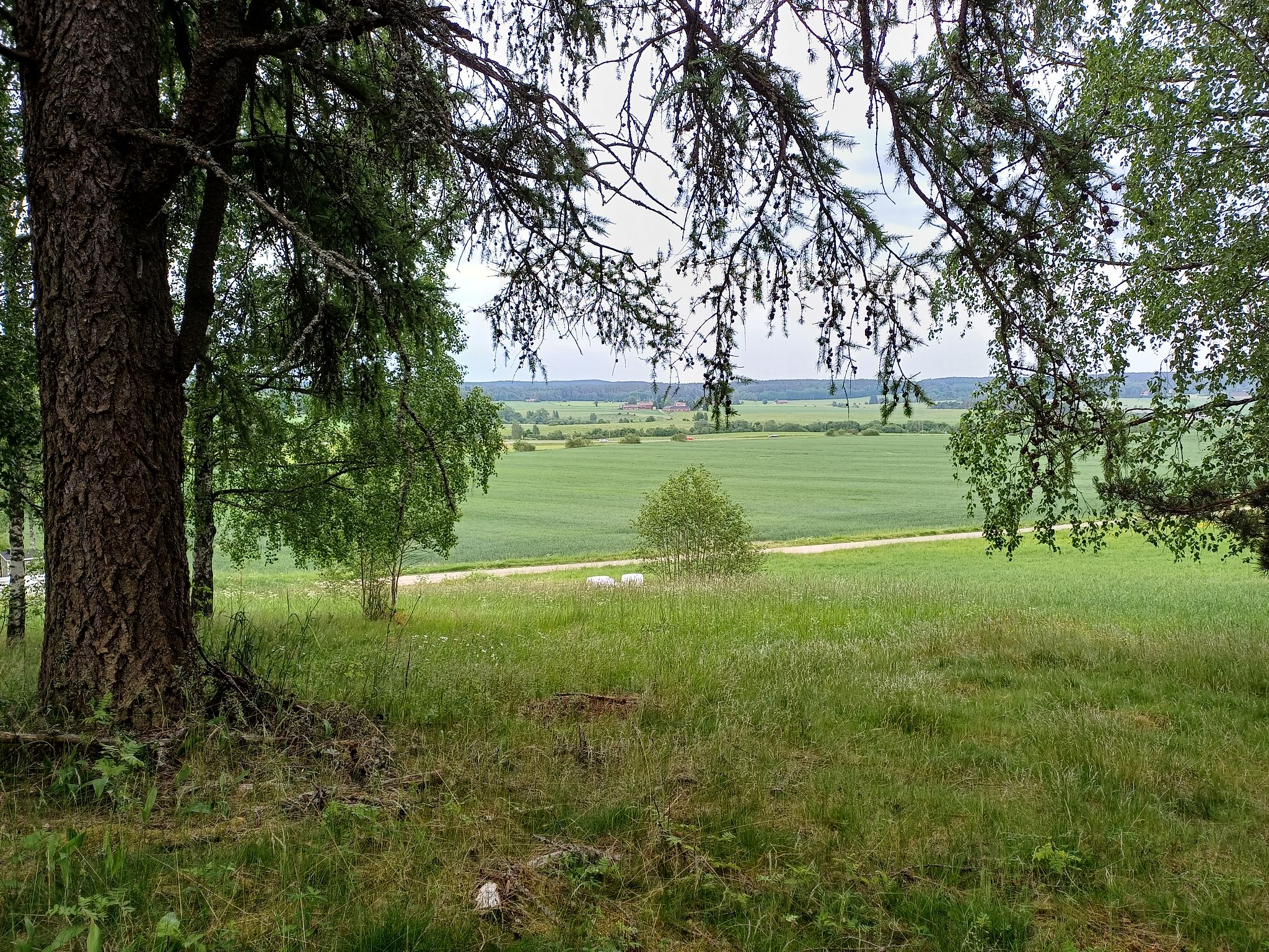 Image 9/12