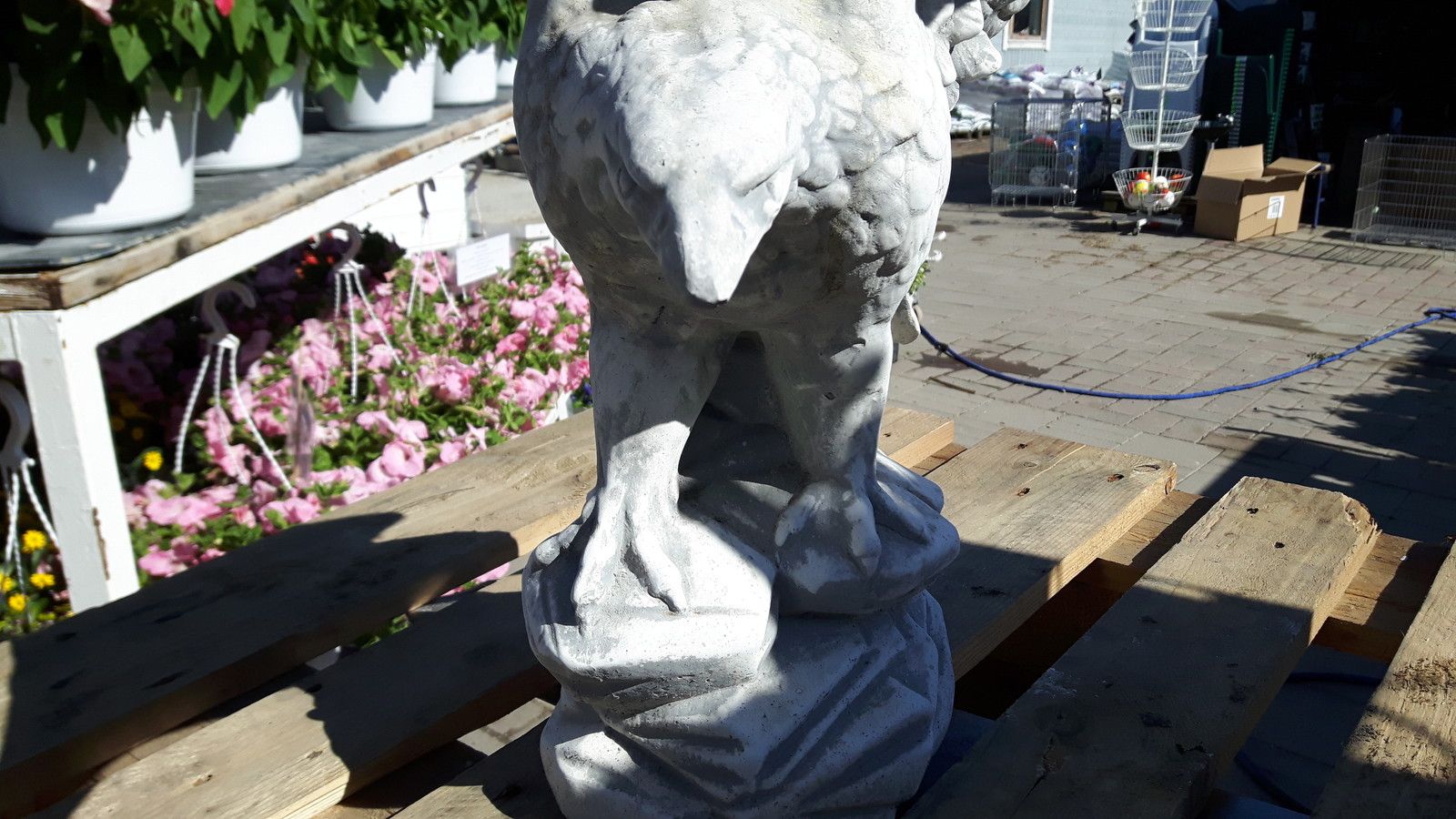 Image 11/21