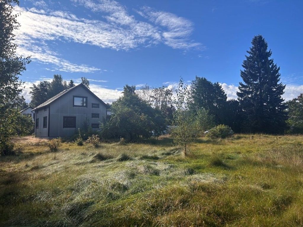 Image 3/31