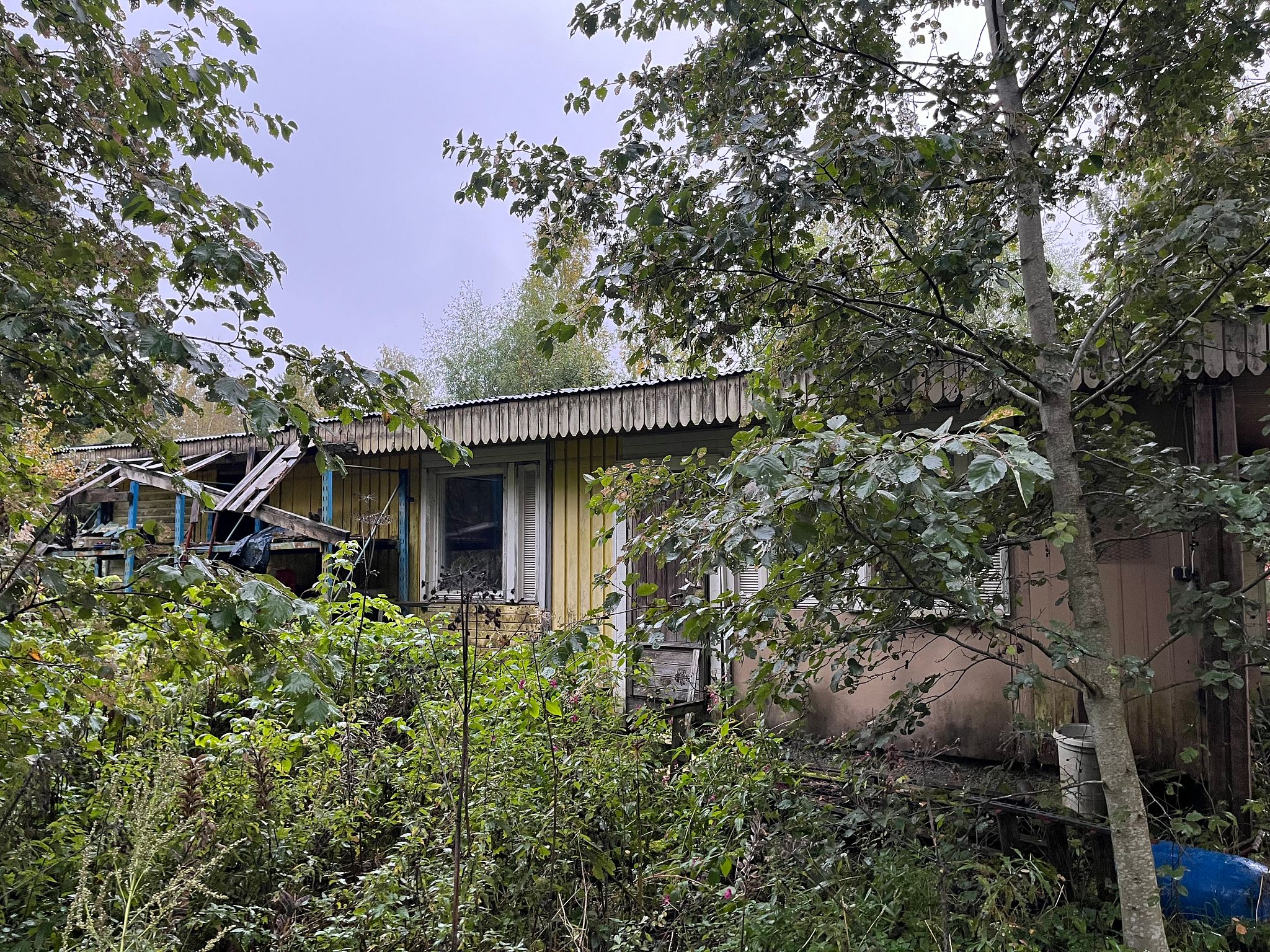Image 3/19