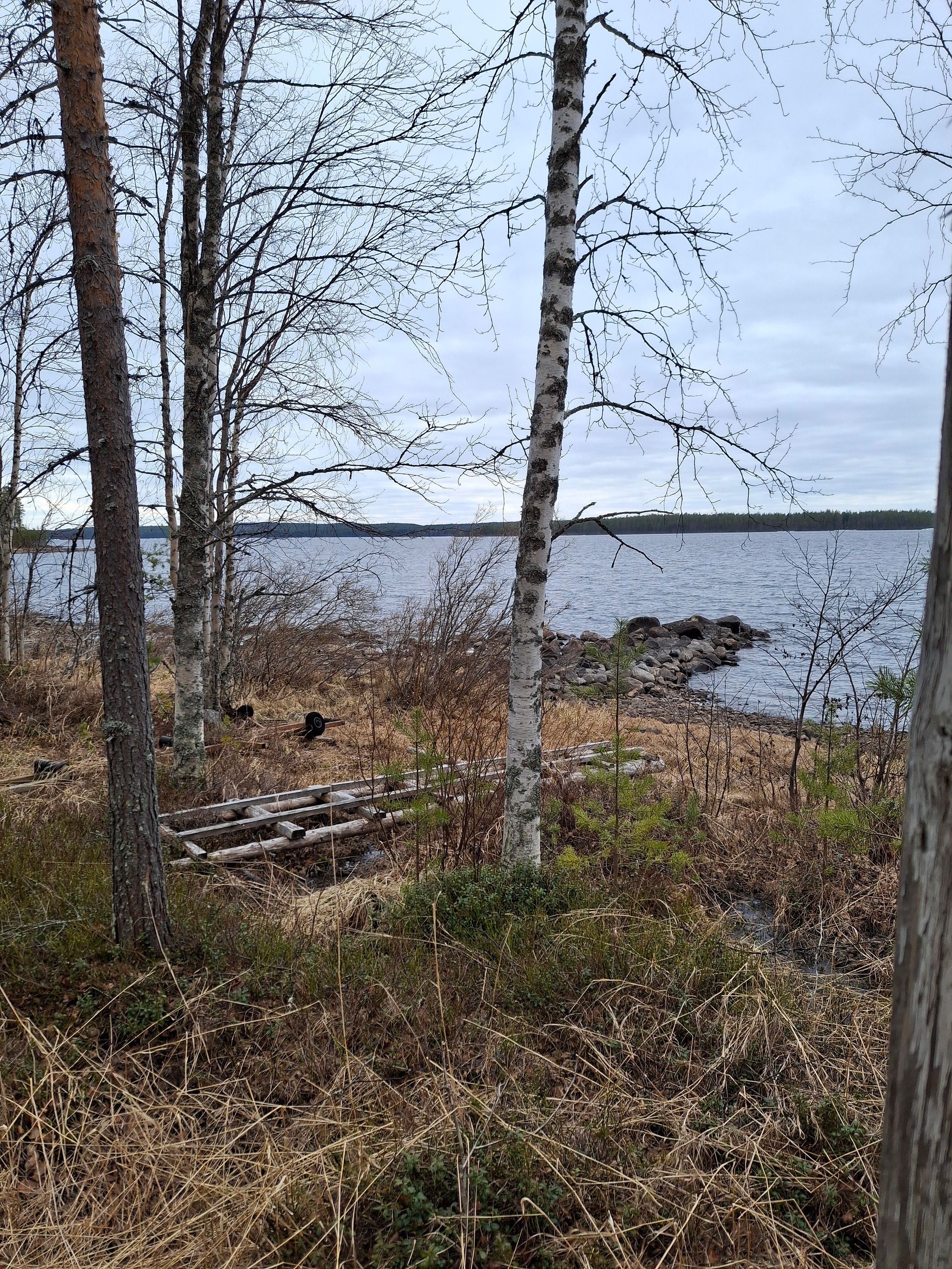 Image 61/76
