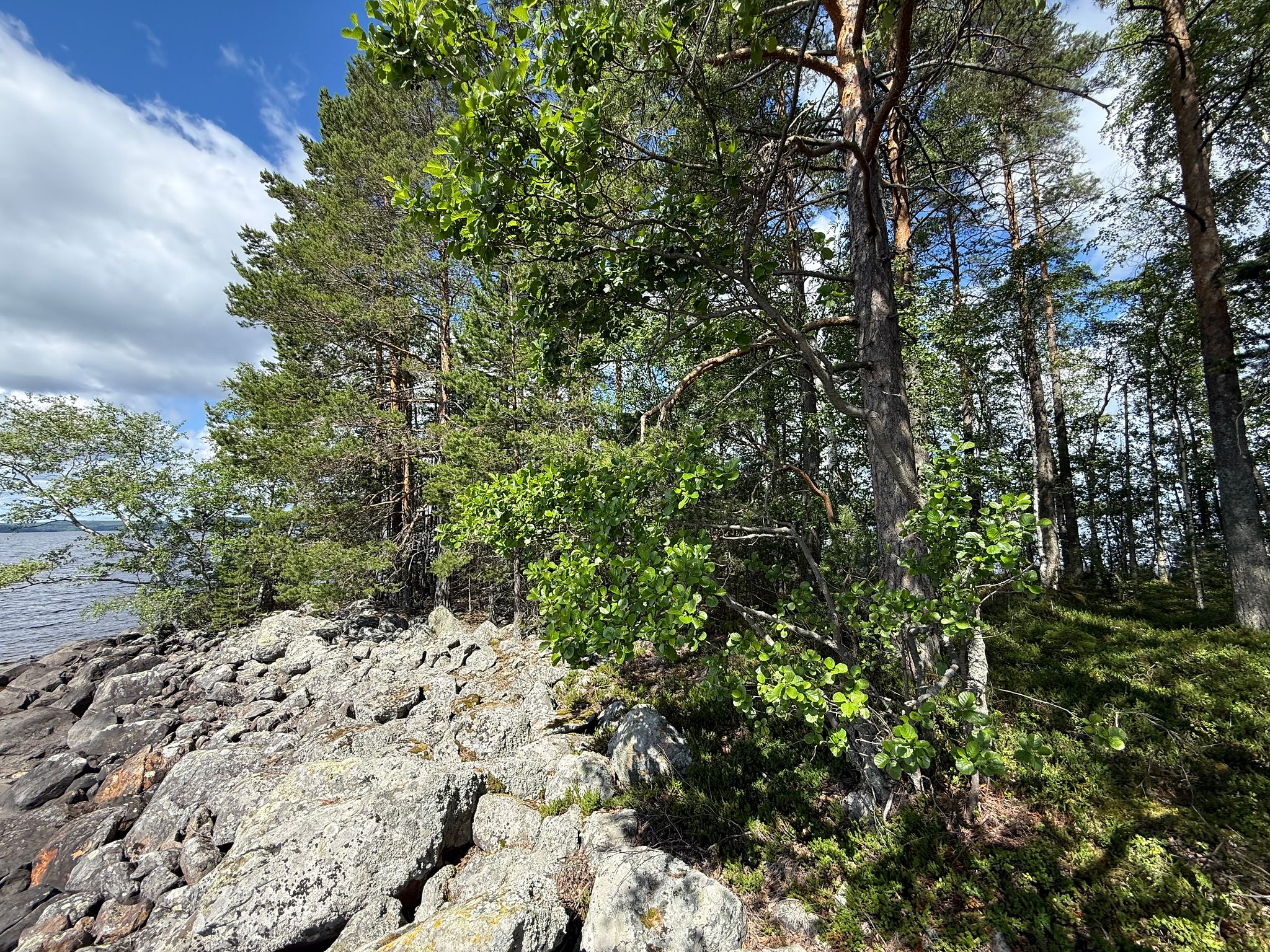 Image 15/31
