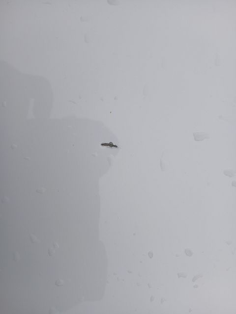Image 9/36