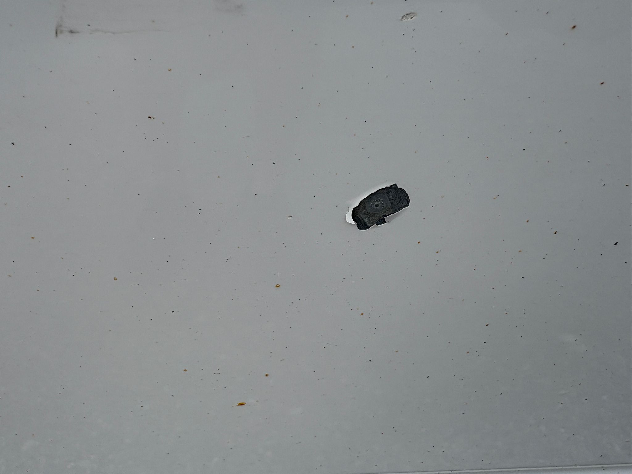 Image 18/19